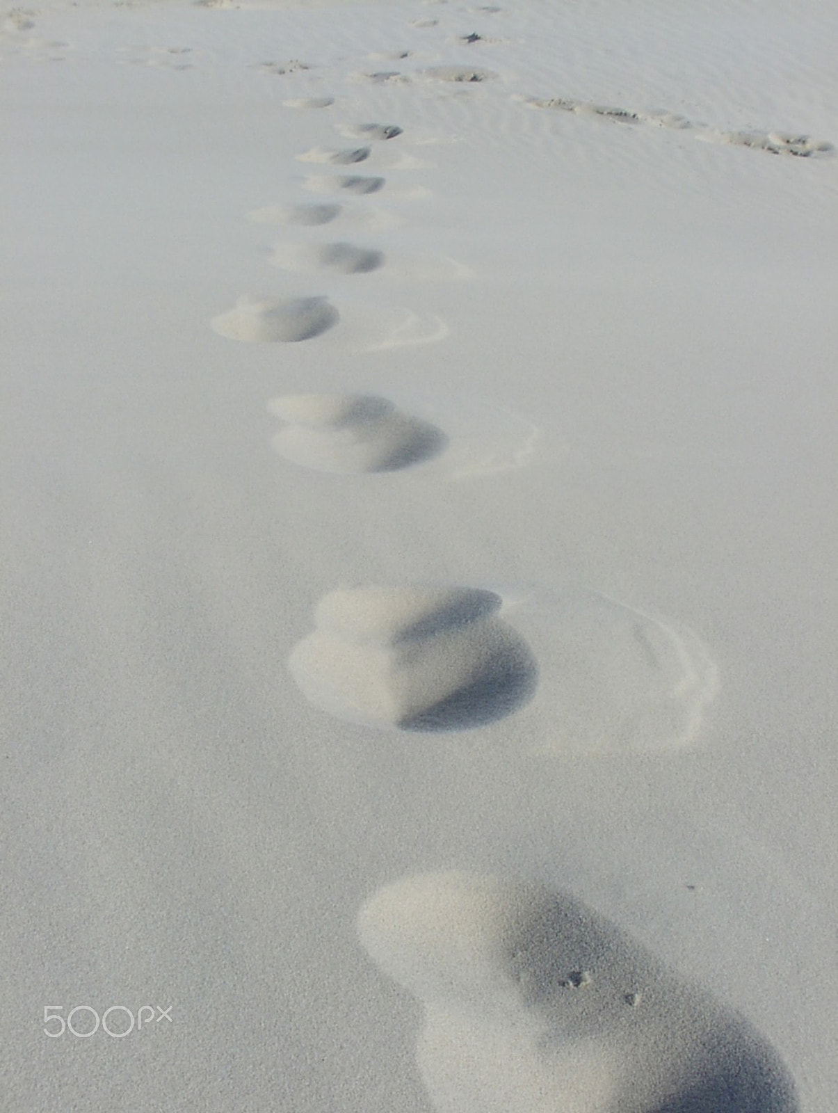 Olympus E100RS sample photo. Footsteps in the sand photography