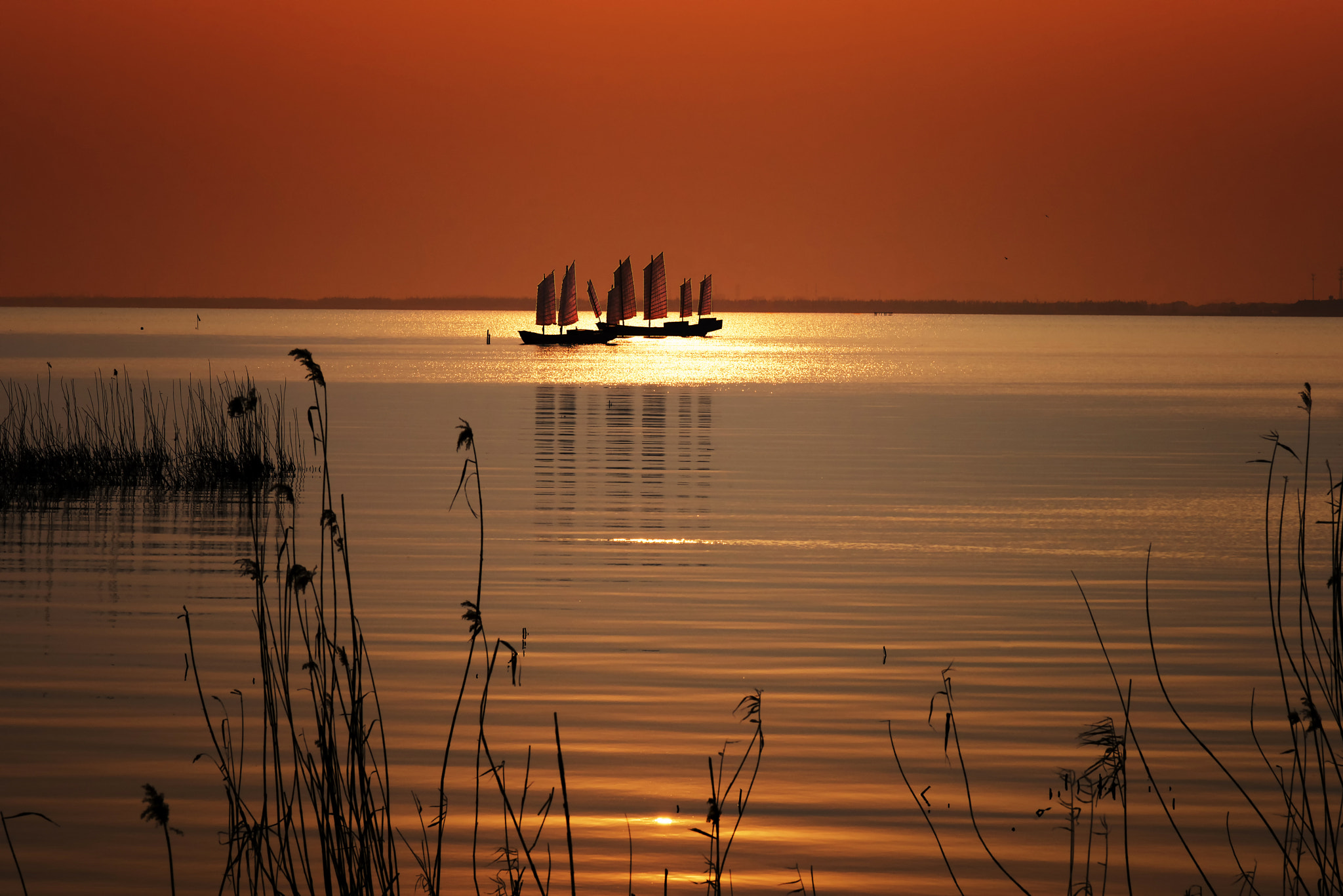 ZEISS Makro-Planar T* 100mm F2 sample photo. Tranquility photography