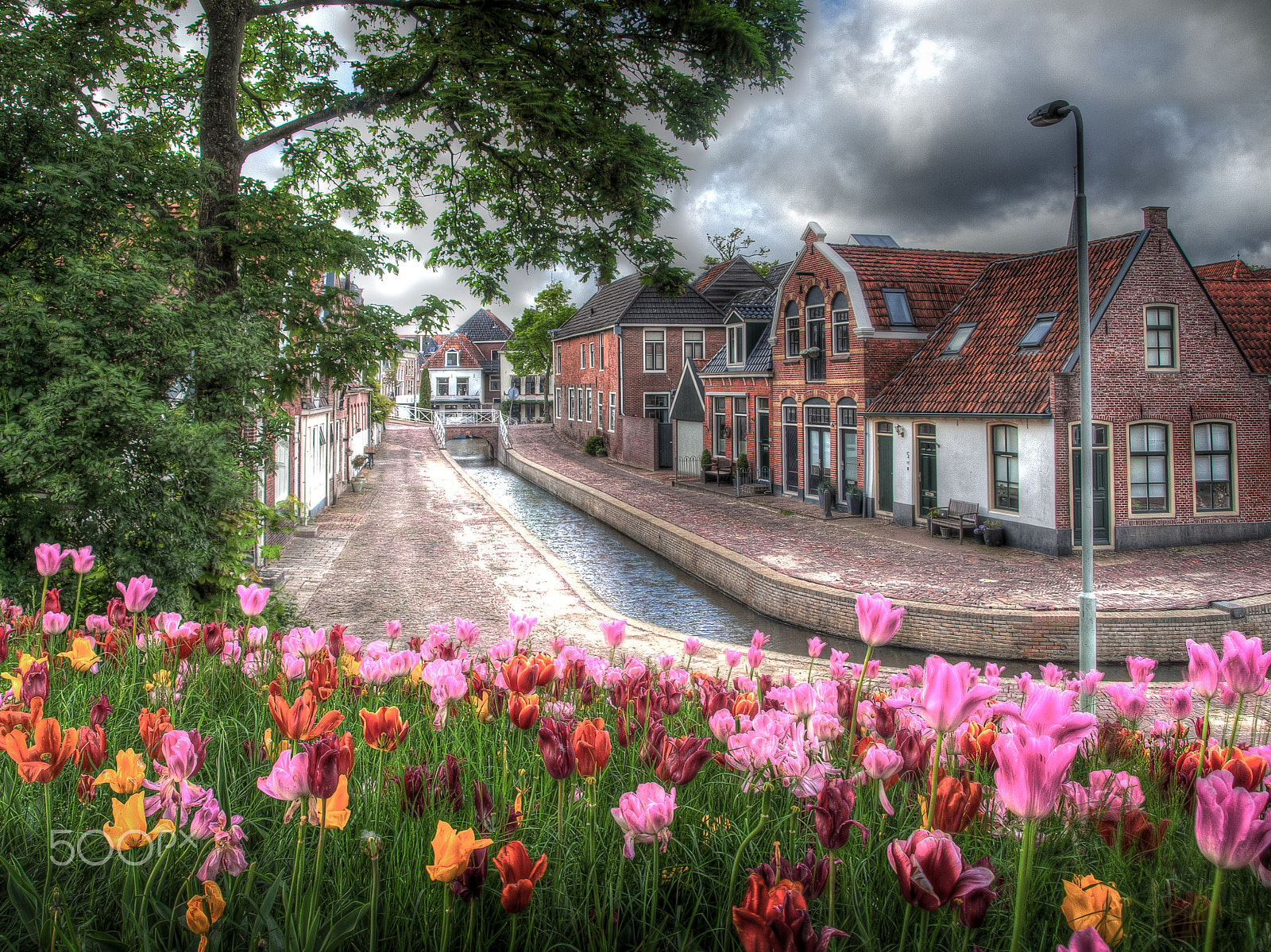 OLYMPUS 14-42mm Lens sample photo. Tulip city (dokkum) photography