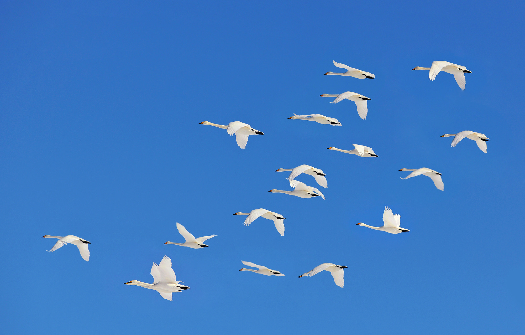 Nikon D3X sample photo. Kushiro hikaido japan photography