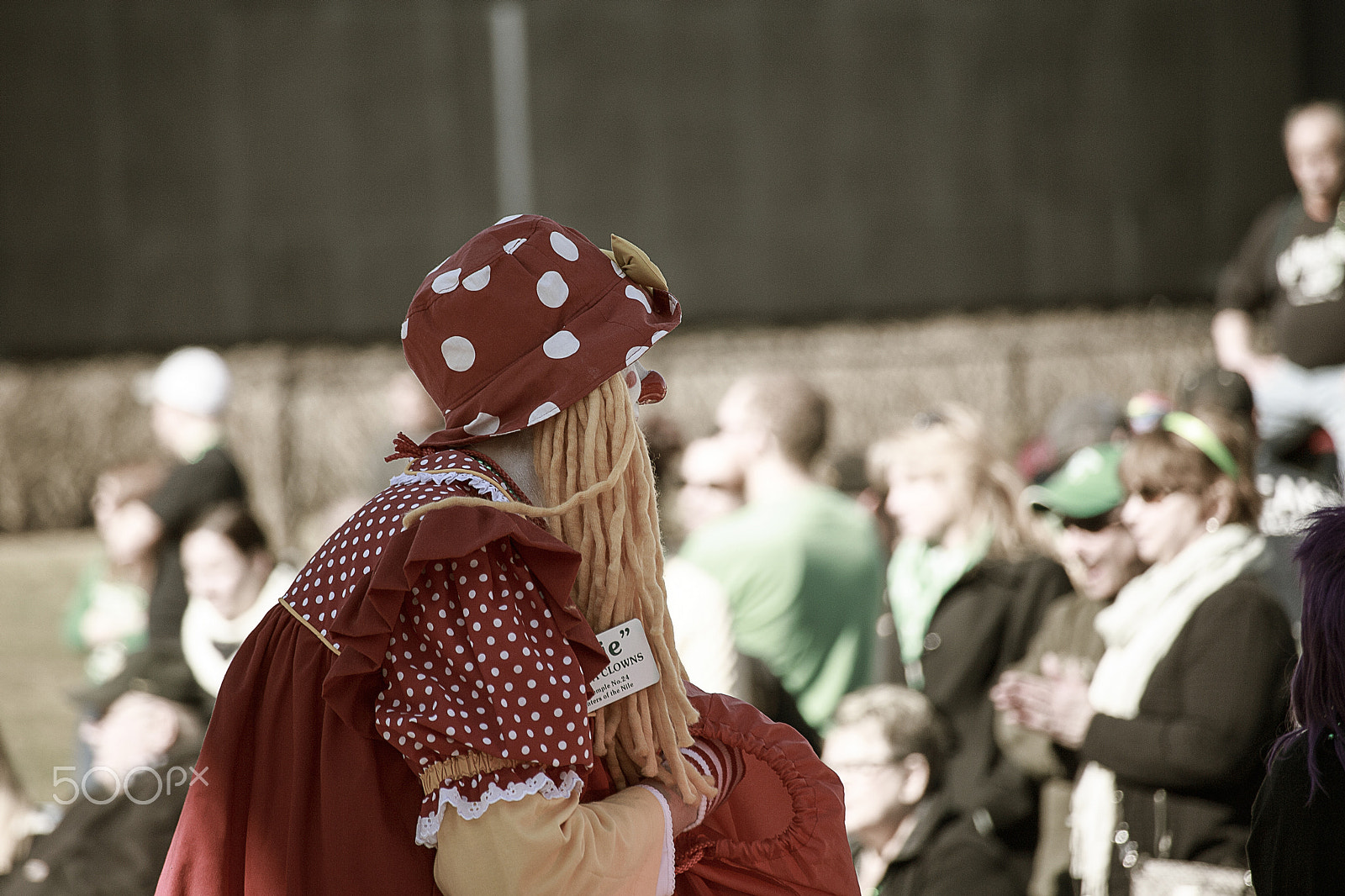 Canon EOS 6D + Canon EF 100-300mm f/5.6 sample photo. Patricks day photography