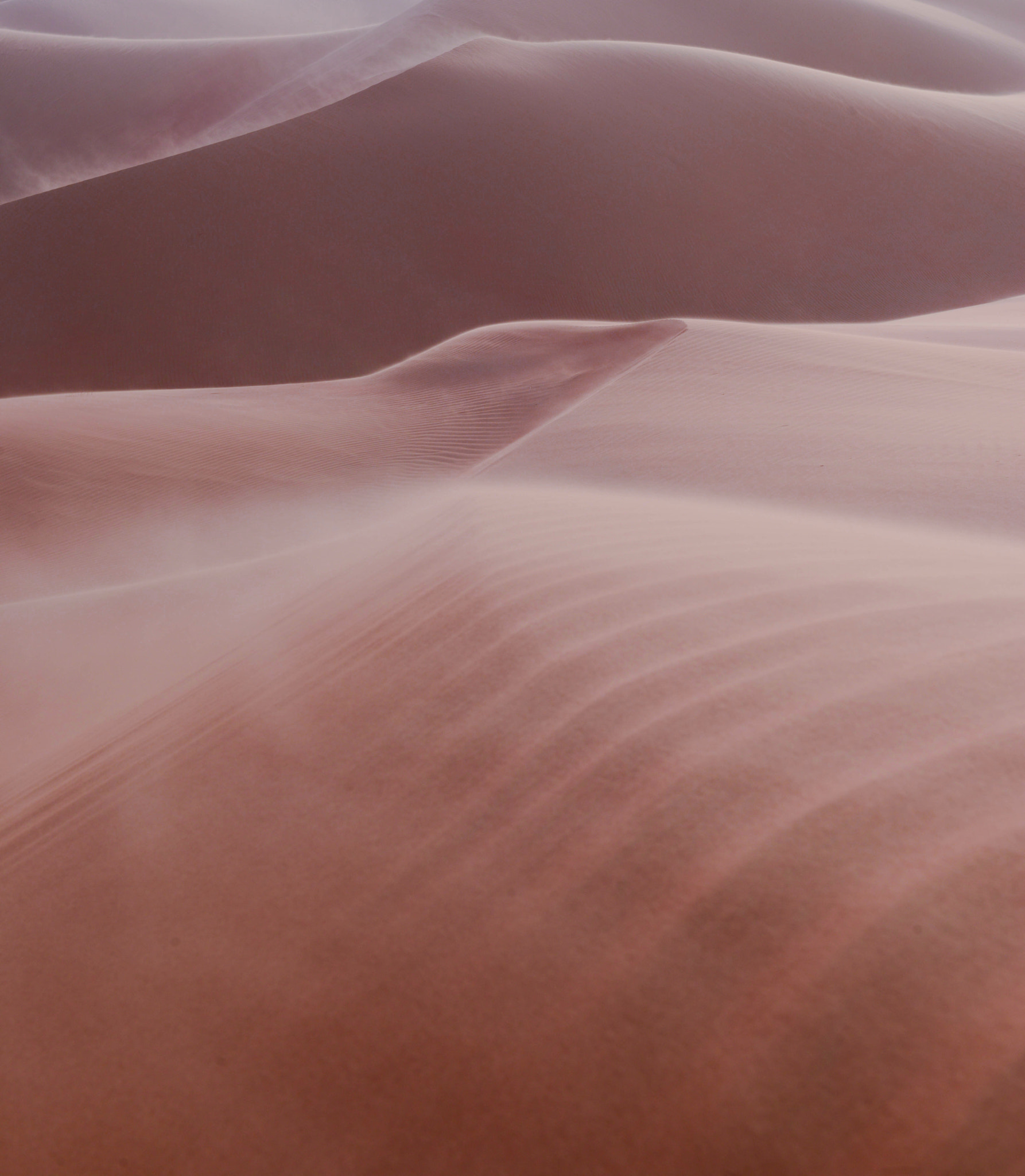 desert dubai