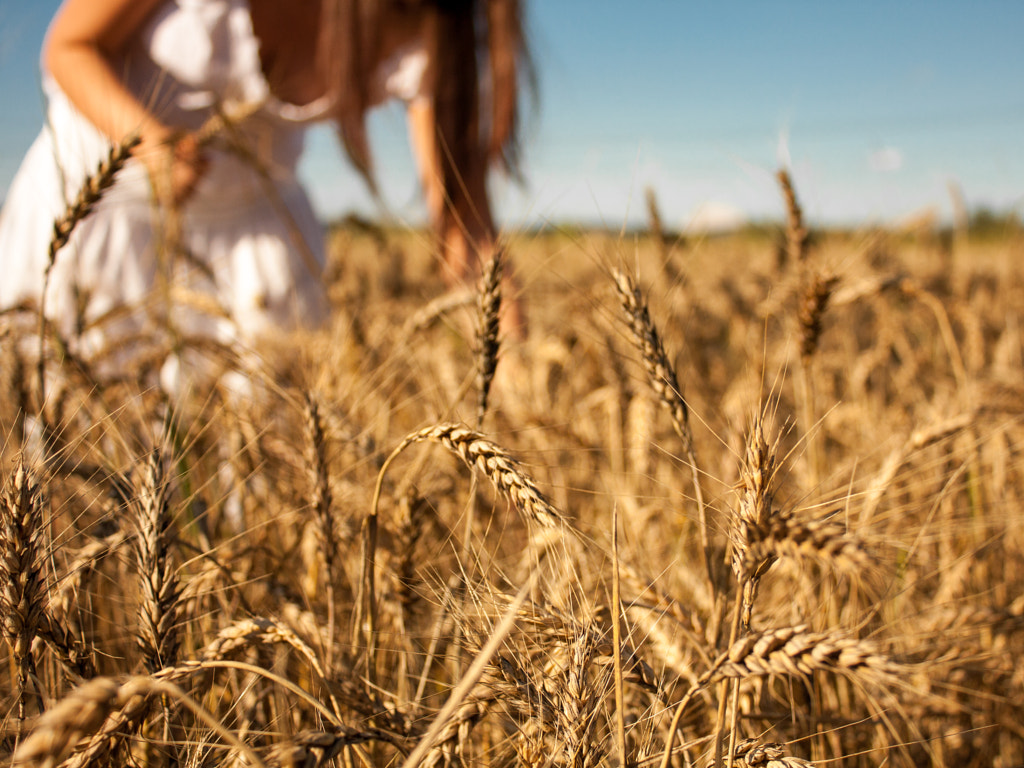 Harvest by Alexandru Dan on 500px.com