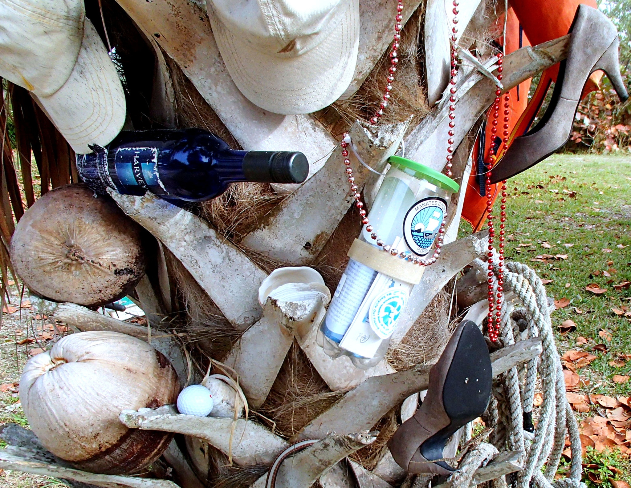 Olympus TG-820 sample photo. Lost n' found department at bimini bay sailing photography