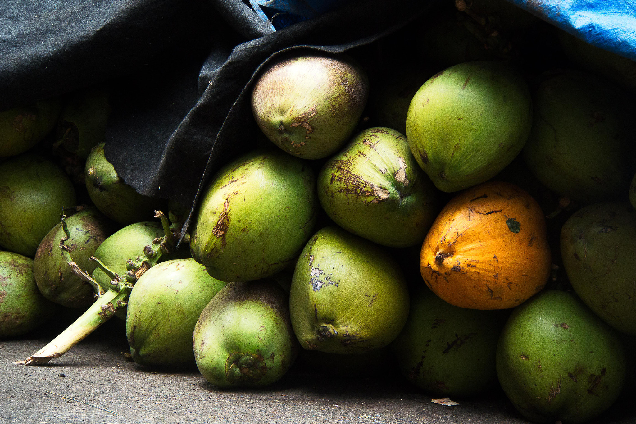 Yellow Coconut