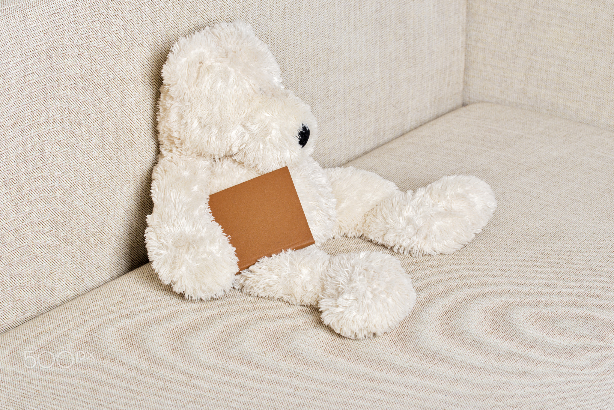 Teddy bear is sitting on the sofa