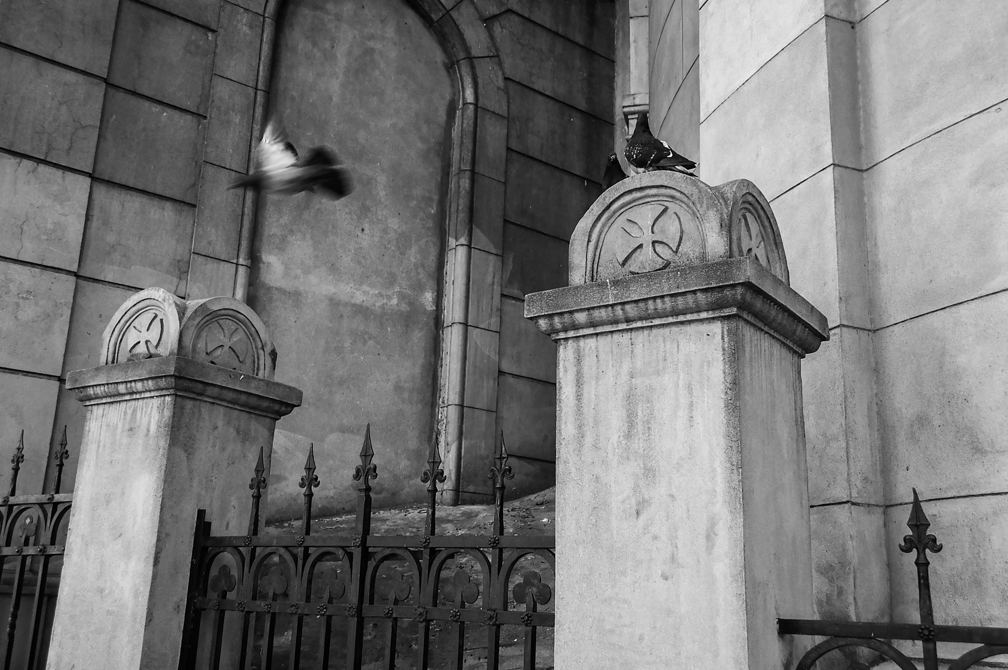 Nikon D70 sample photo. Untitled #4 photography