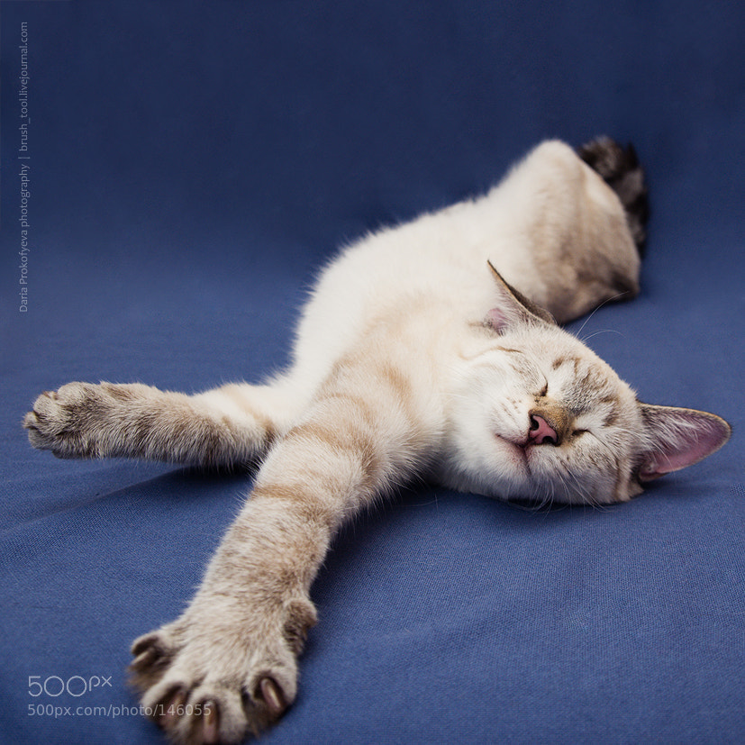 Life Is Good by Daria Prokofyeva