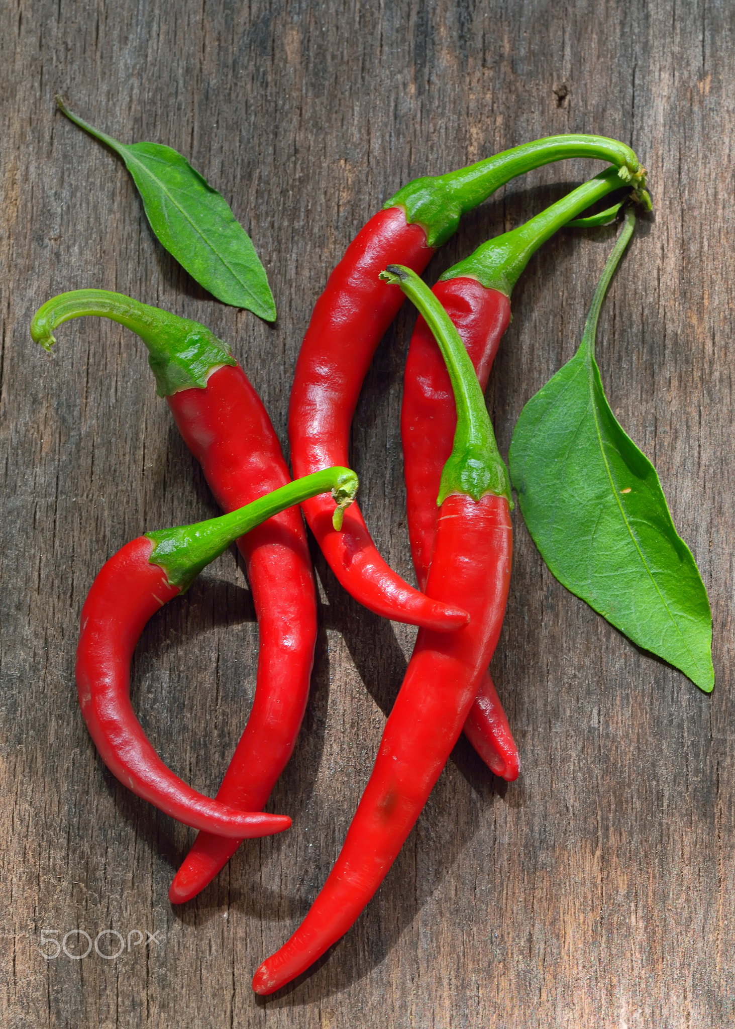 Red Chili Peppers