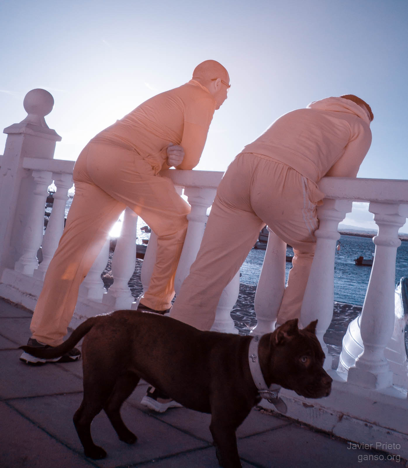 Sony Alpha NEX-5N sample photo. Three observers photography