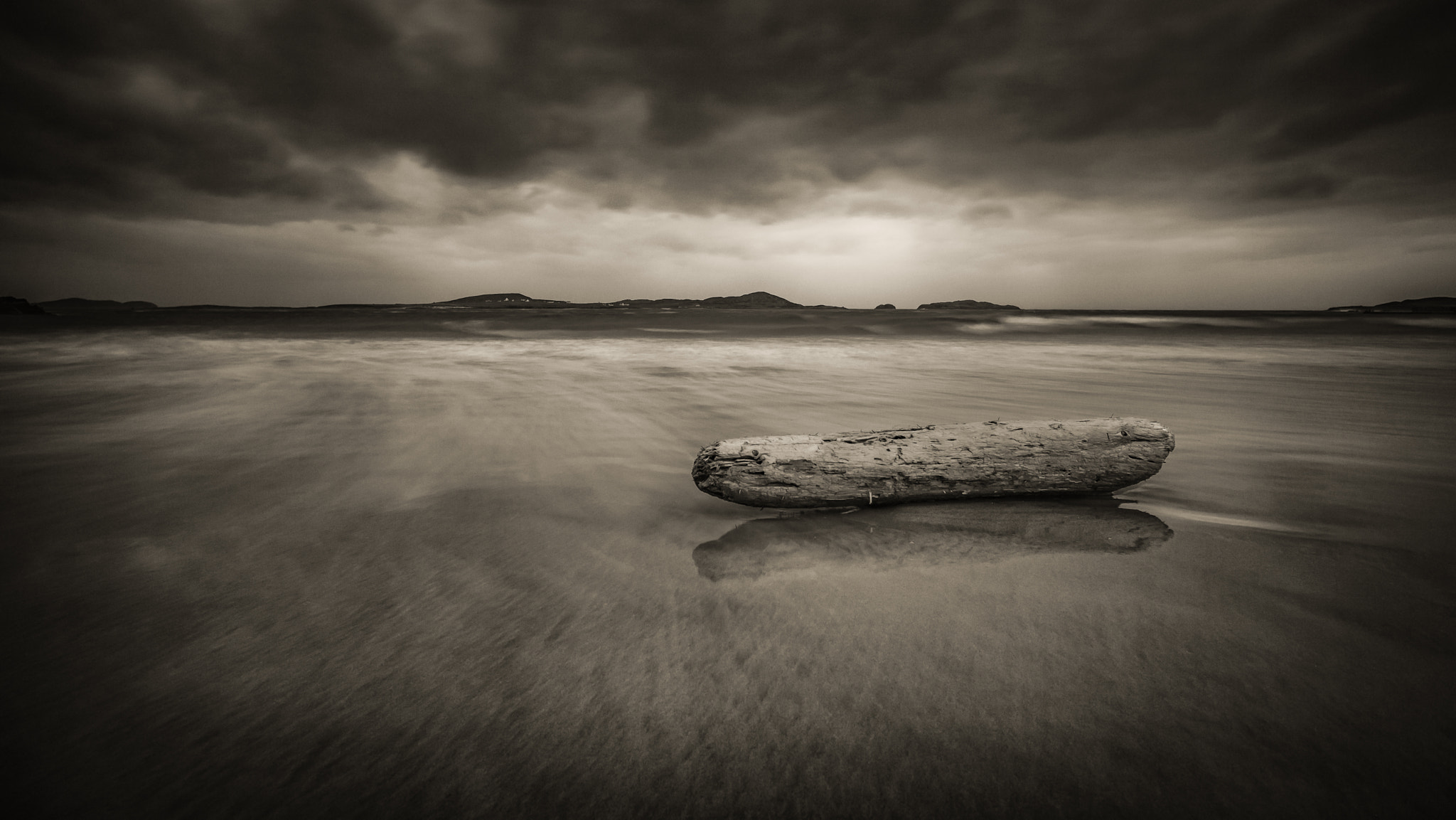 Log on Beach B&W