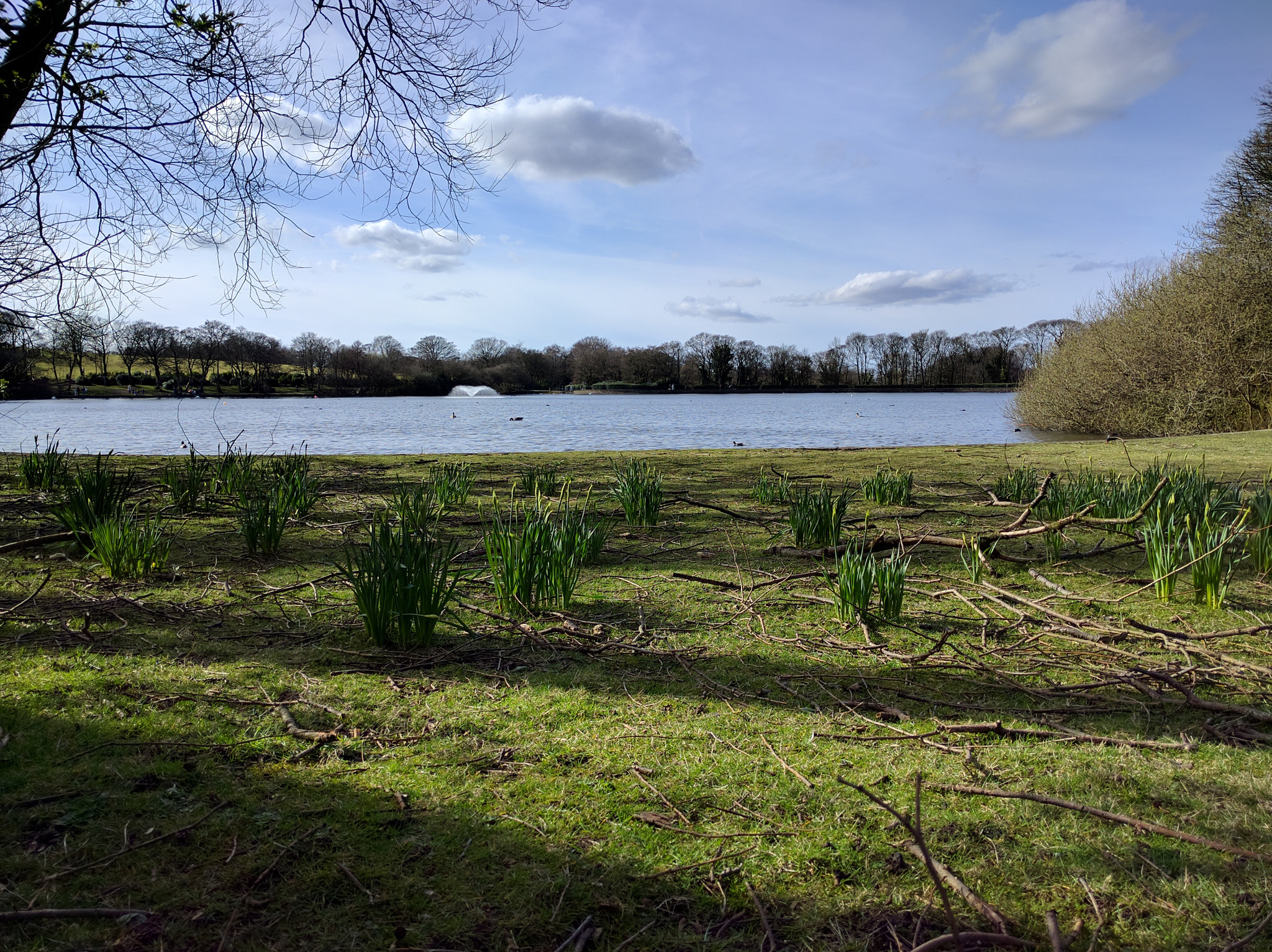 Spring Springs In To Action