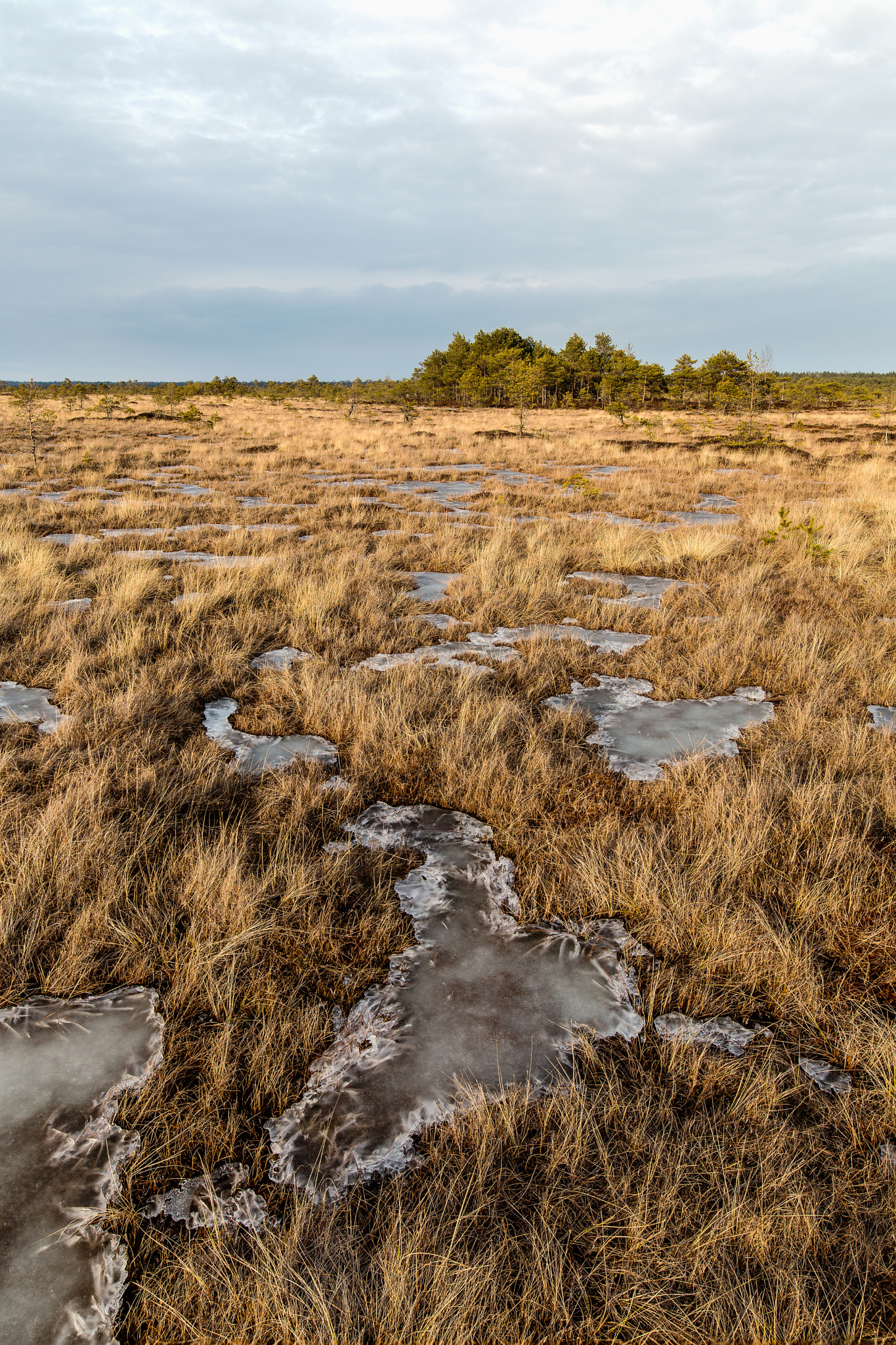 Melting bog