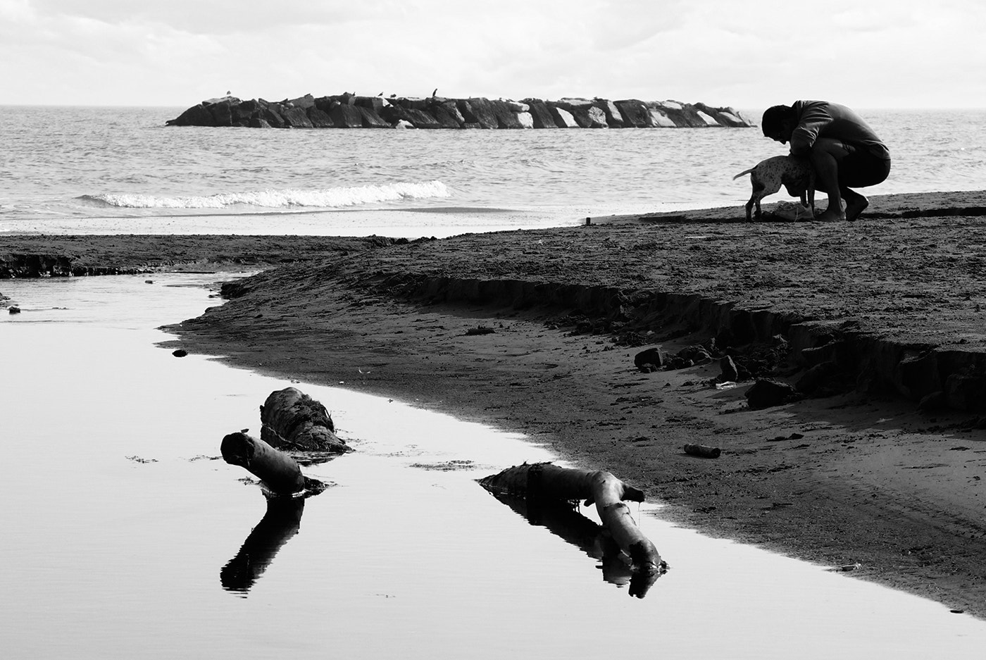 Nikon 1 Nikkor VR 30-110mm F3.8-5.6 sample photo. Silhouettes of a man with a dog on the beach photography