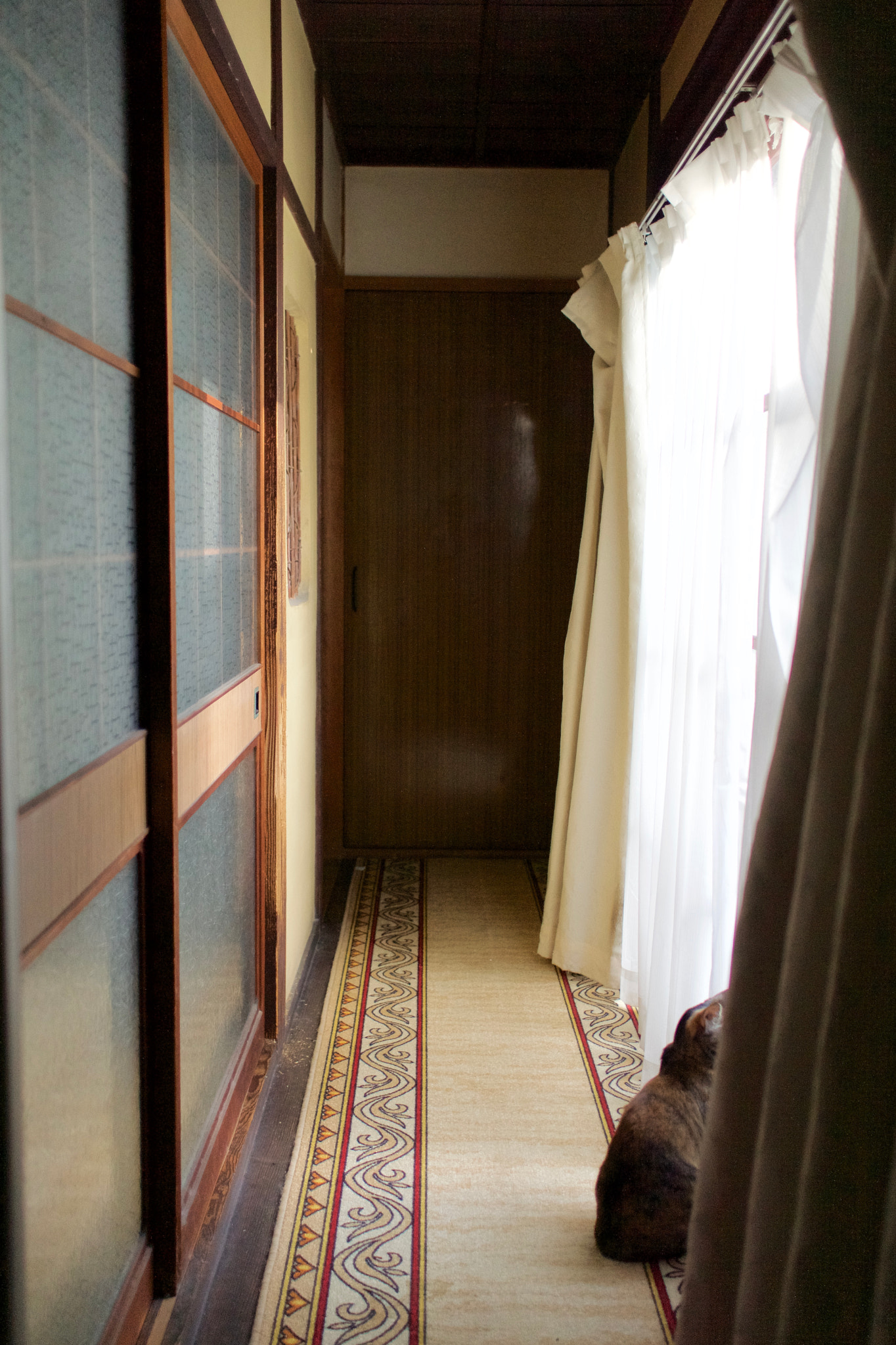 Sony Alpha NEX-7 + Sony Sonnar T* E 24mm F1.8 ZA sample photo. Pico dreaming of going outside photography