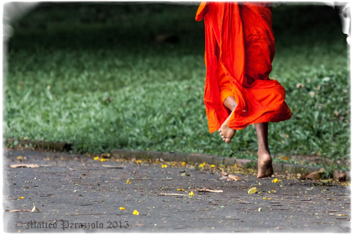 Canon EF 100-400mm F4.5-5.6L IS USM sample photo. Think of anything and run... photography