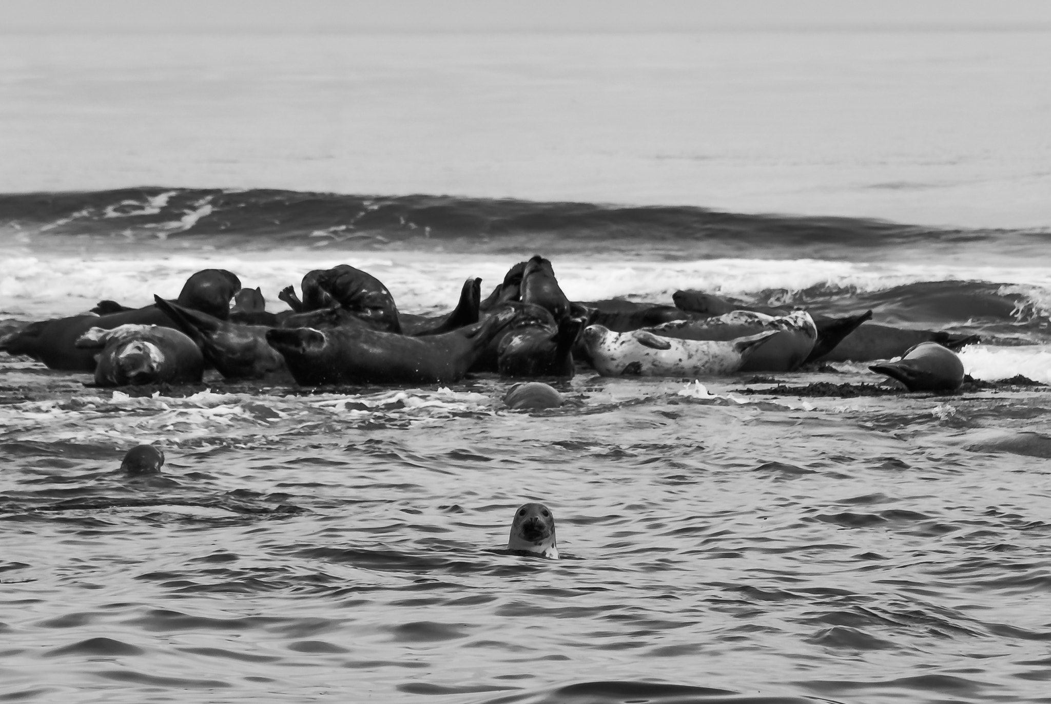 Nikon D200 sample photo. The guardian photography