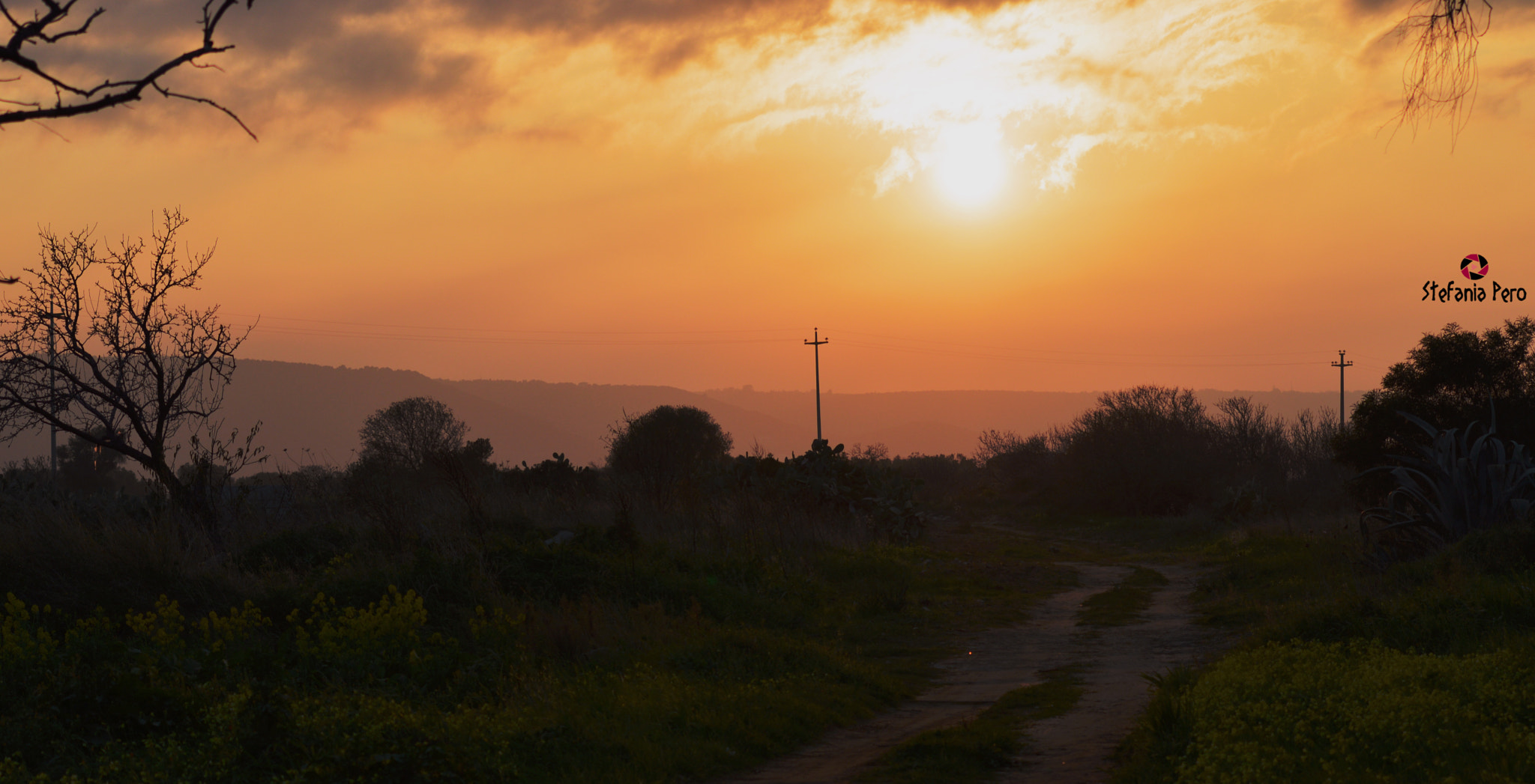 AF Zoom-Nikkor 35-80mm f/4-5.6D N + 2x sample photo. Special sunset. photography