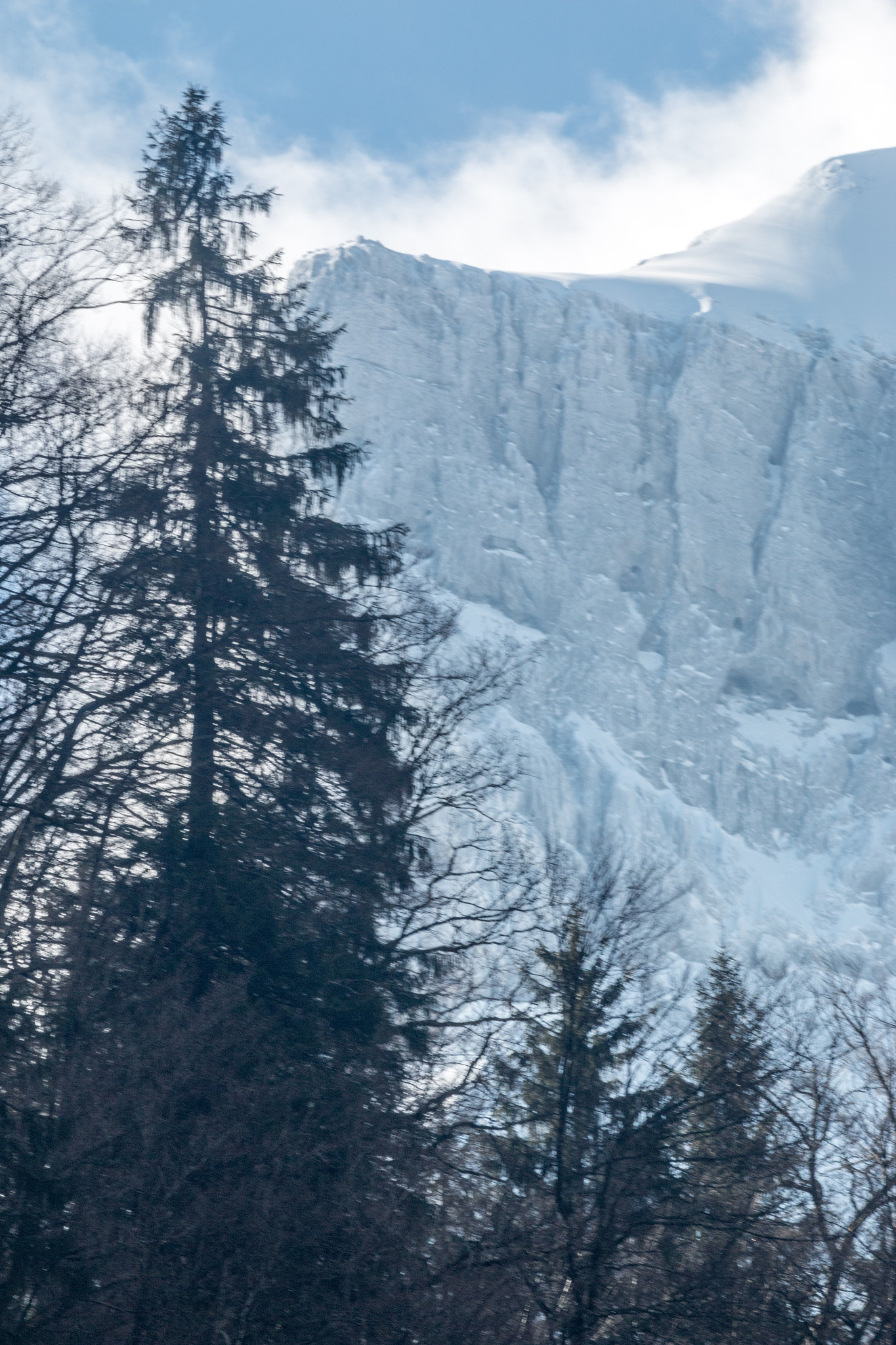 Canon EF 200mm f/2.8L II + 2x sample photo. Alpine spring ii photography