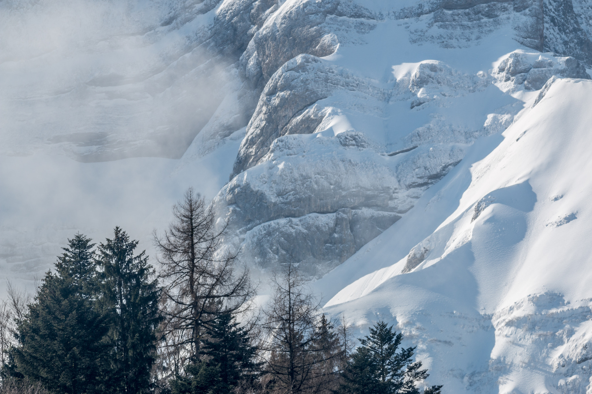 Canon EF 200mm f/2.8L II + 2x sample photo. Alpine spring iv photography