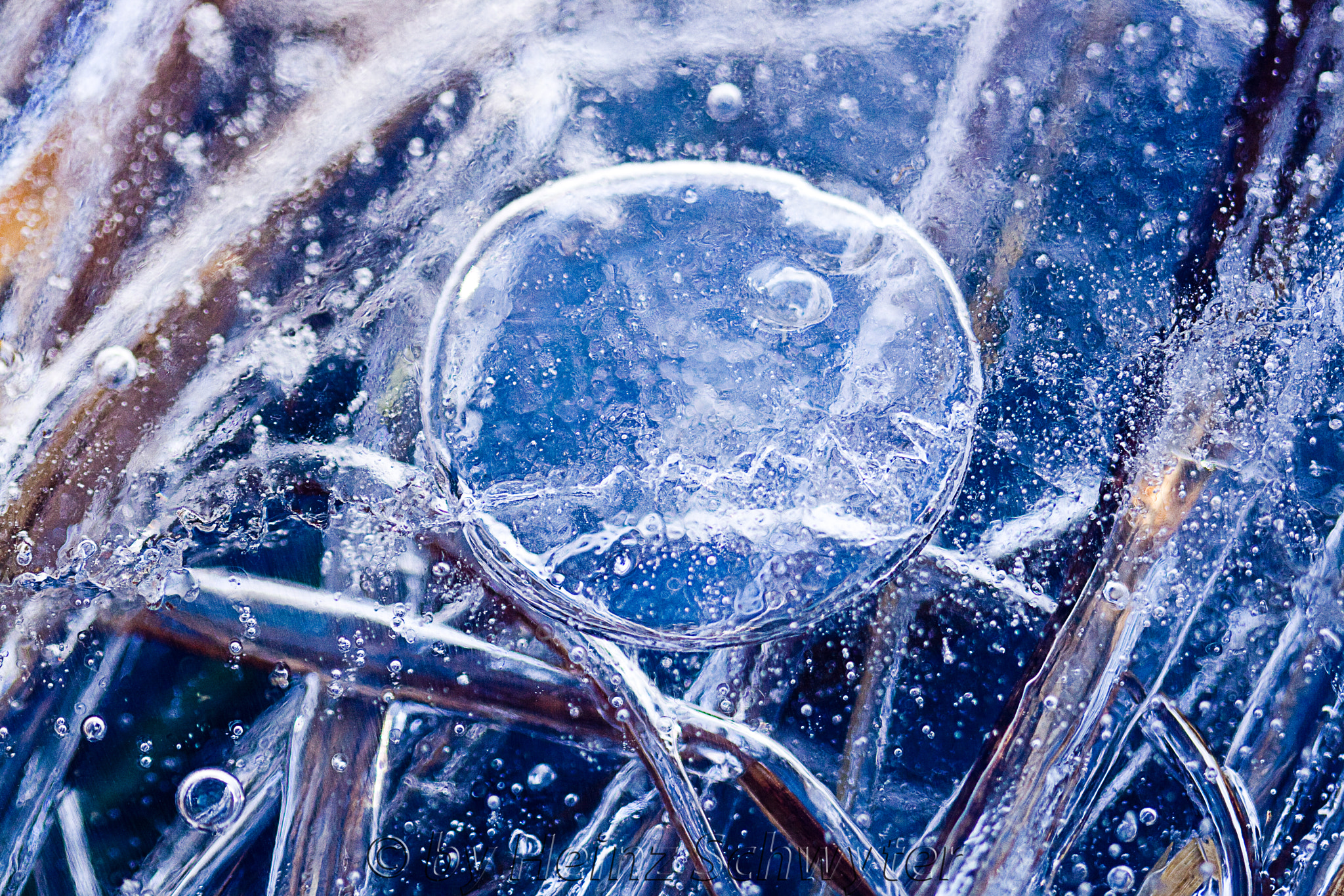 Canon EF 100mm F2.8 Macro USM sample photo. Eis photography