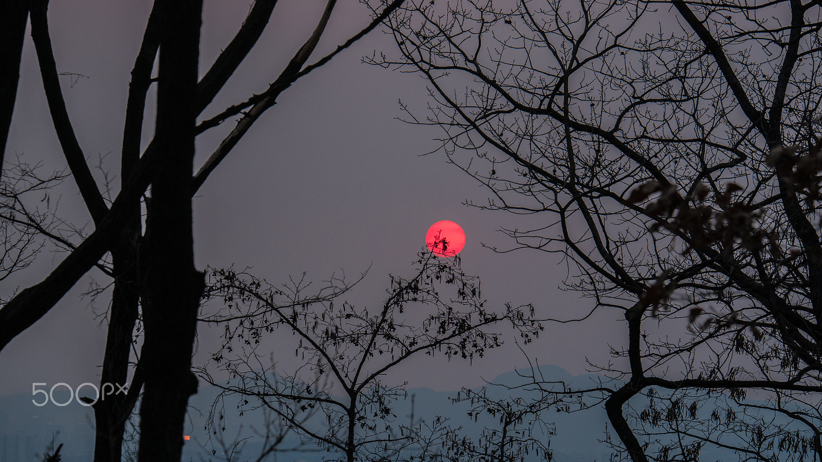 Panasonic Lumix G X Vario 35-100mm F2.8 OIS sample photo. Red sun photography
