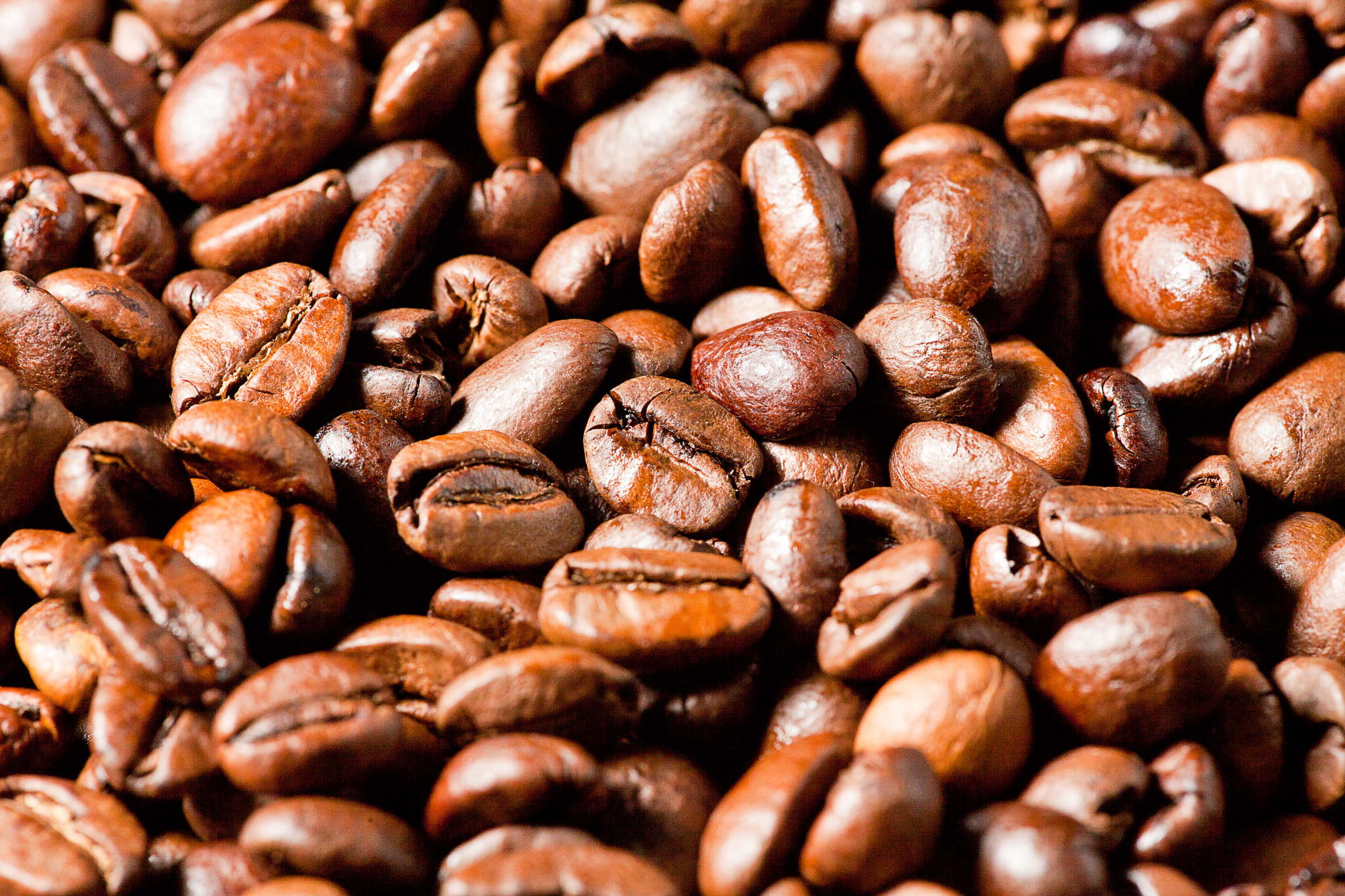 Canon EF 180mm F3.5L Macro USM sample photo. Kaffee,cafe, photography
