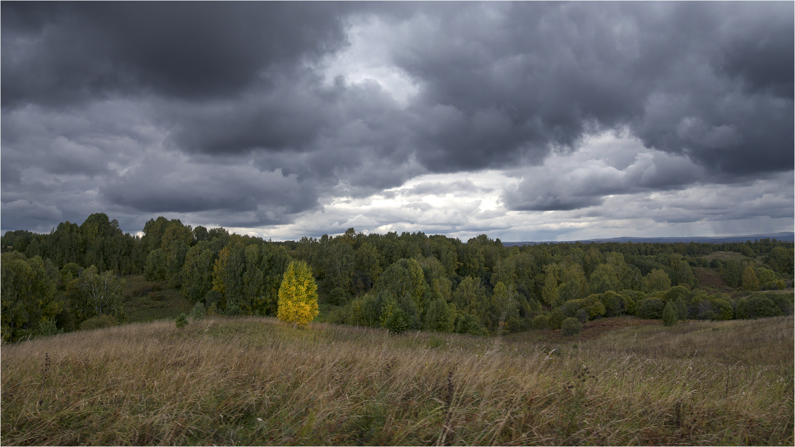 Nikon AF-S Nikkor 18-35mm F3.5-4.5G ED sample photo. В ожидании дождя photography
