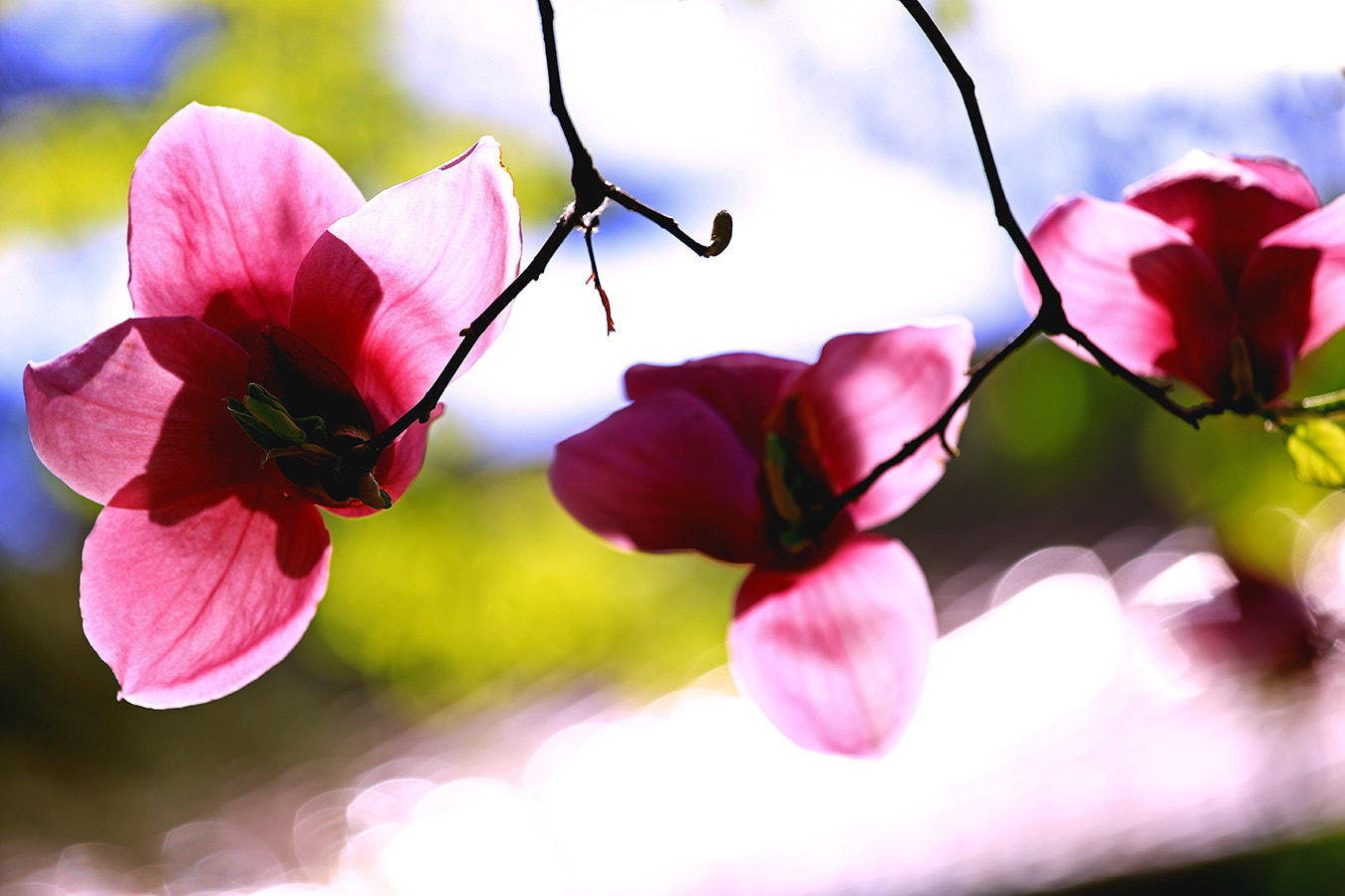 v2?sig=5d8652bcd1e3bed60ae9dc721aba70a18bb53a2db26cb6660fb34bf0a15b6044