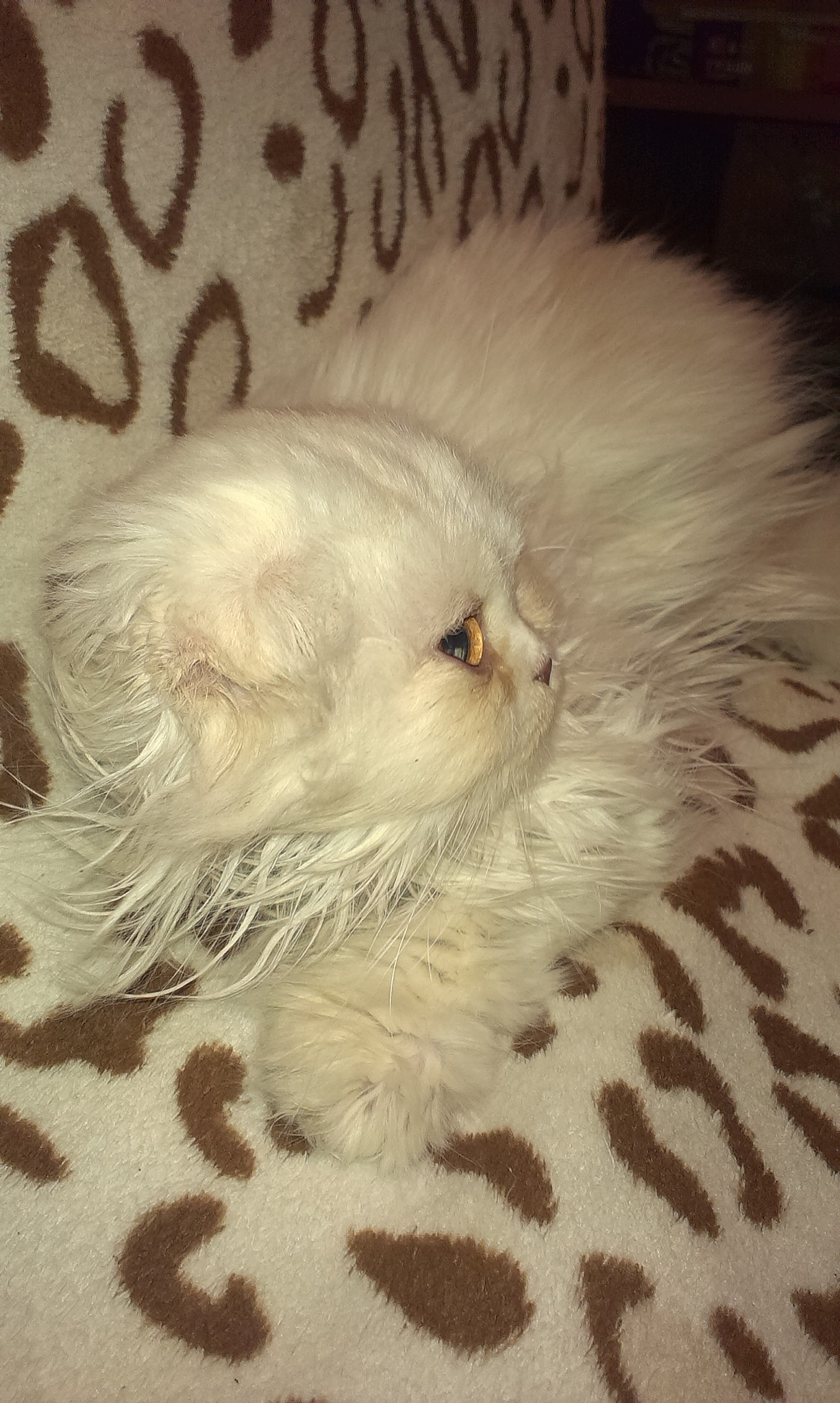 HTC DESIRE X sample photo