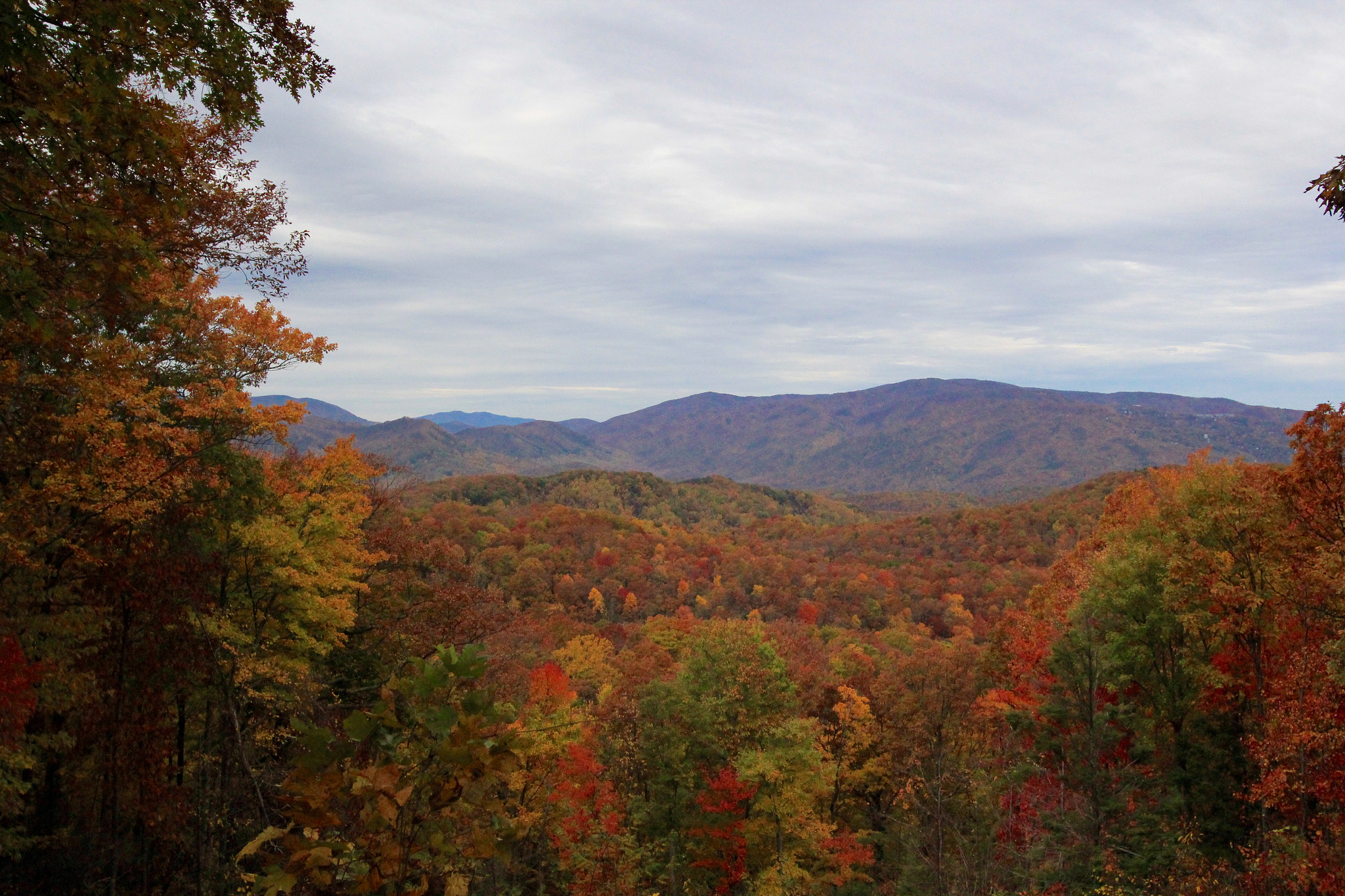 Canon EF-S 10-22mm F3.5-4.5 USM sample photo. Roaring fork, gatlinburg, tennessee photography