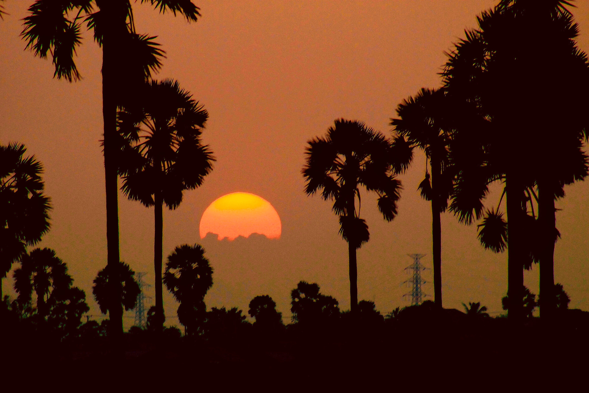 Canon EF75-300mm f/4-5.6 sample photo. The last minute of the sun ! photography