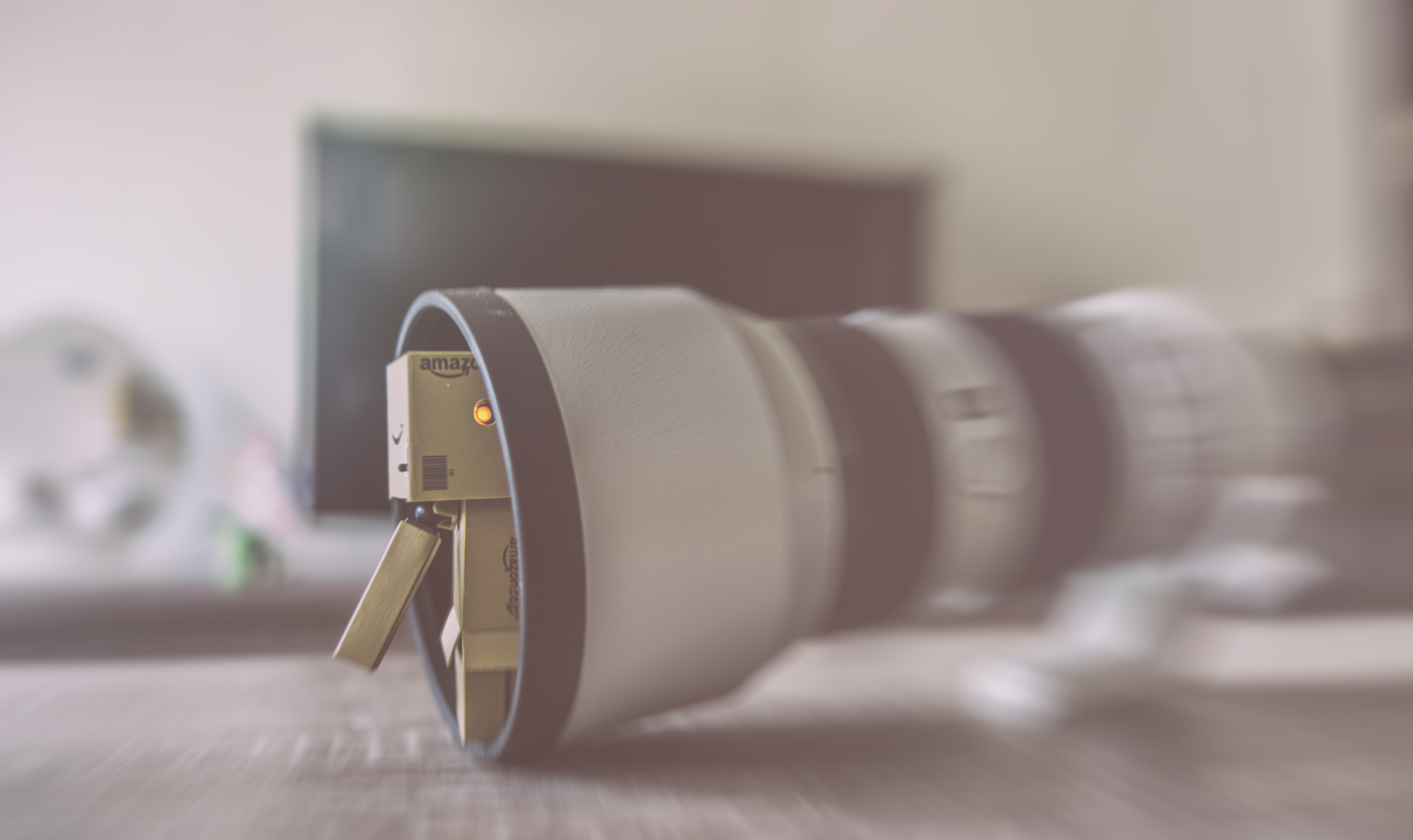 Sony 28mm F2.8 sample photo. Playing hide and seek photography