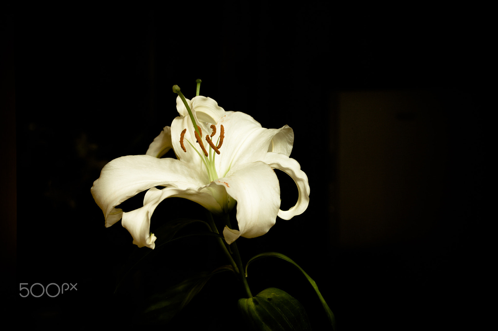 Canon EF 28-80mm f/2.8-4L sample photo. Imgs6491.jpg photography