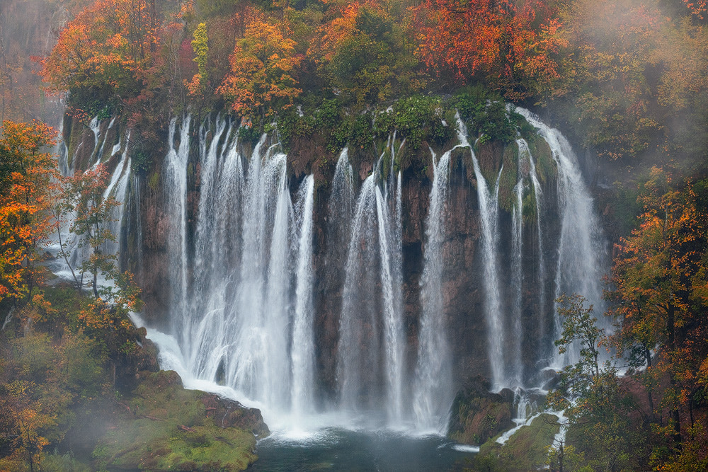 Sony a7R + Canon EF 70-200mm F4L USM sample photo. Fall perfection photography