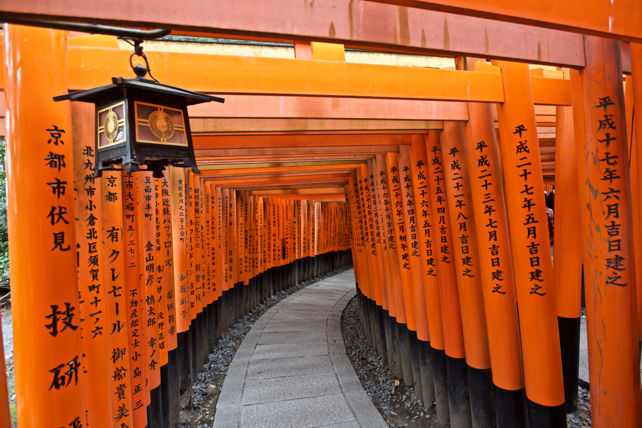 ZEISS Touit 12mm F2.8 sample photo. Fushimi inari-taisha photography