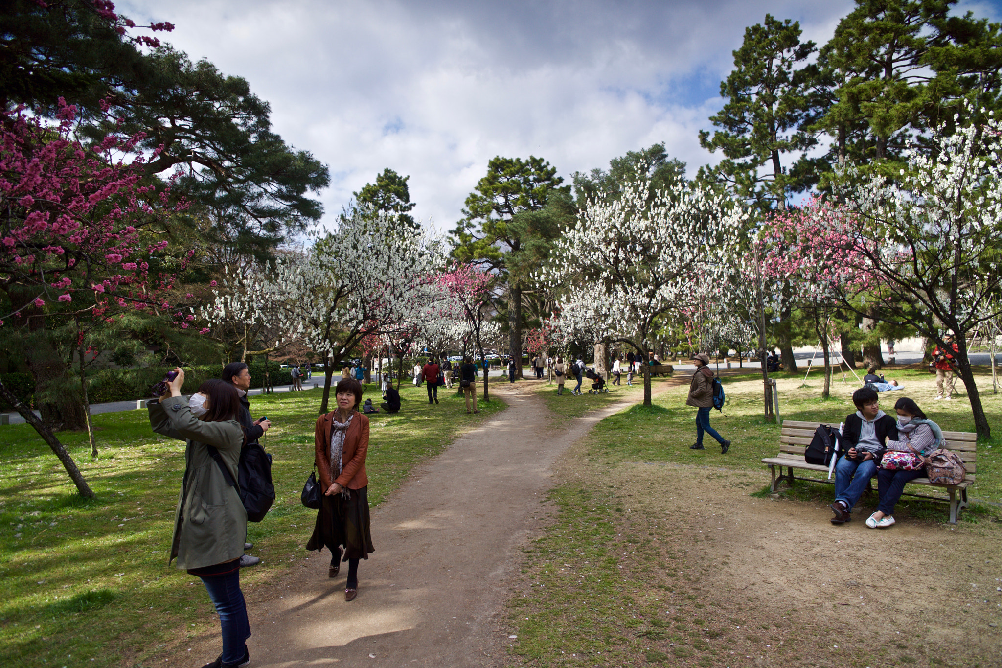 ZEISS Touit 12mm F2.8 sample photo. Enjoying the plum blossoms photography