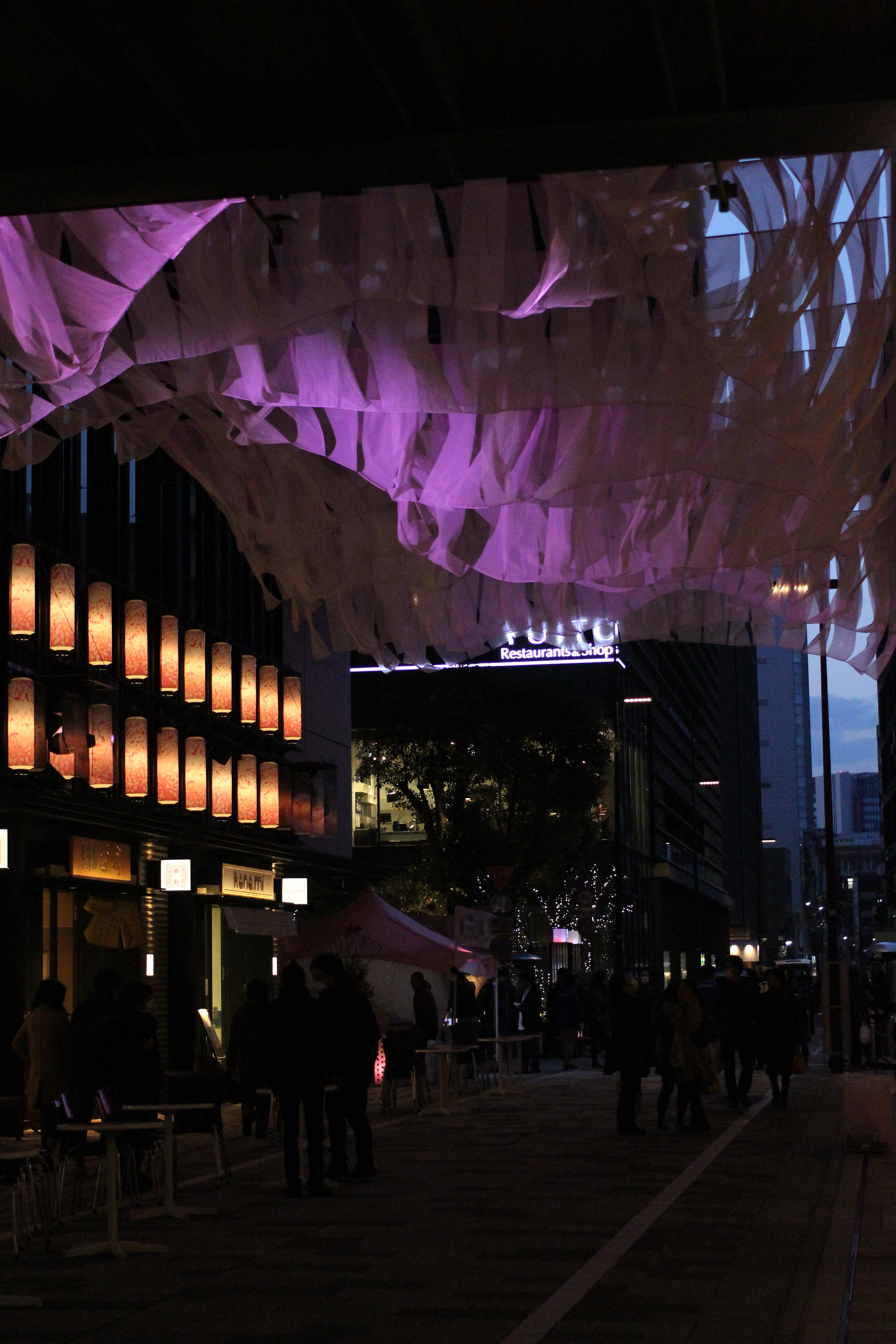 Canon EOS 700D (EOS Rebel T5i / EOS Kiss X7i) sample photo. Night at nihonbashi photography