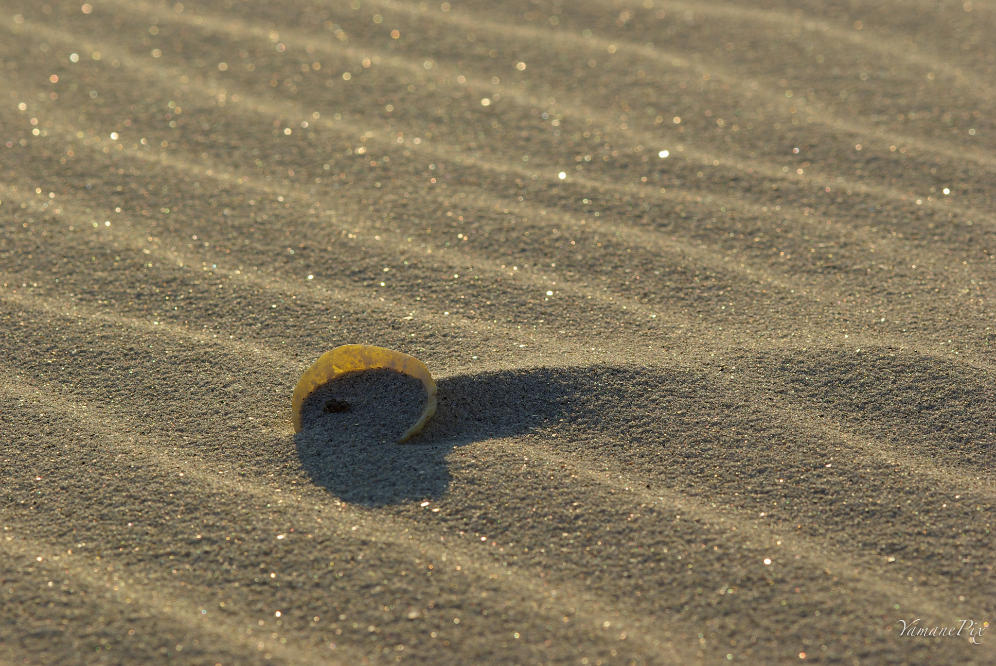 Pentax K10D + smc PENTAX-FA Macro 100mm F2.8 sample photo. Abandoned photography