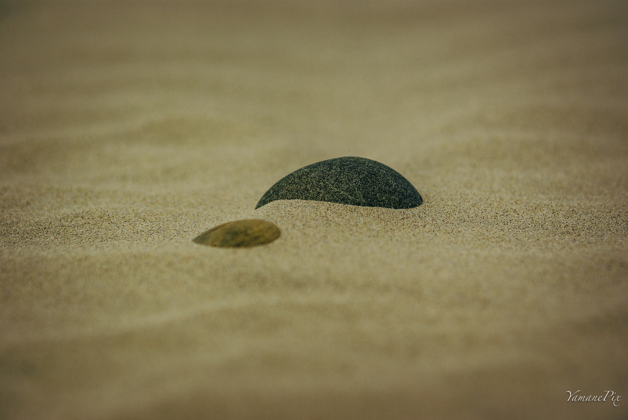 Pentax K10D + smc PENTAX-FA* 80-200mm F2.8 ED[IF] sample photo. Sand always wins photography