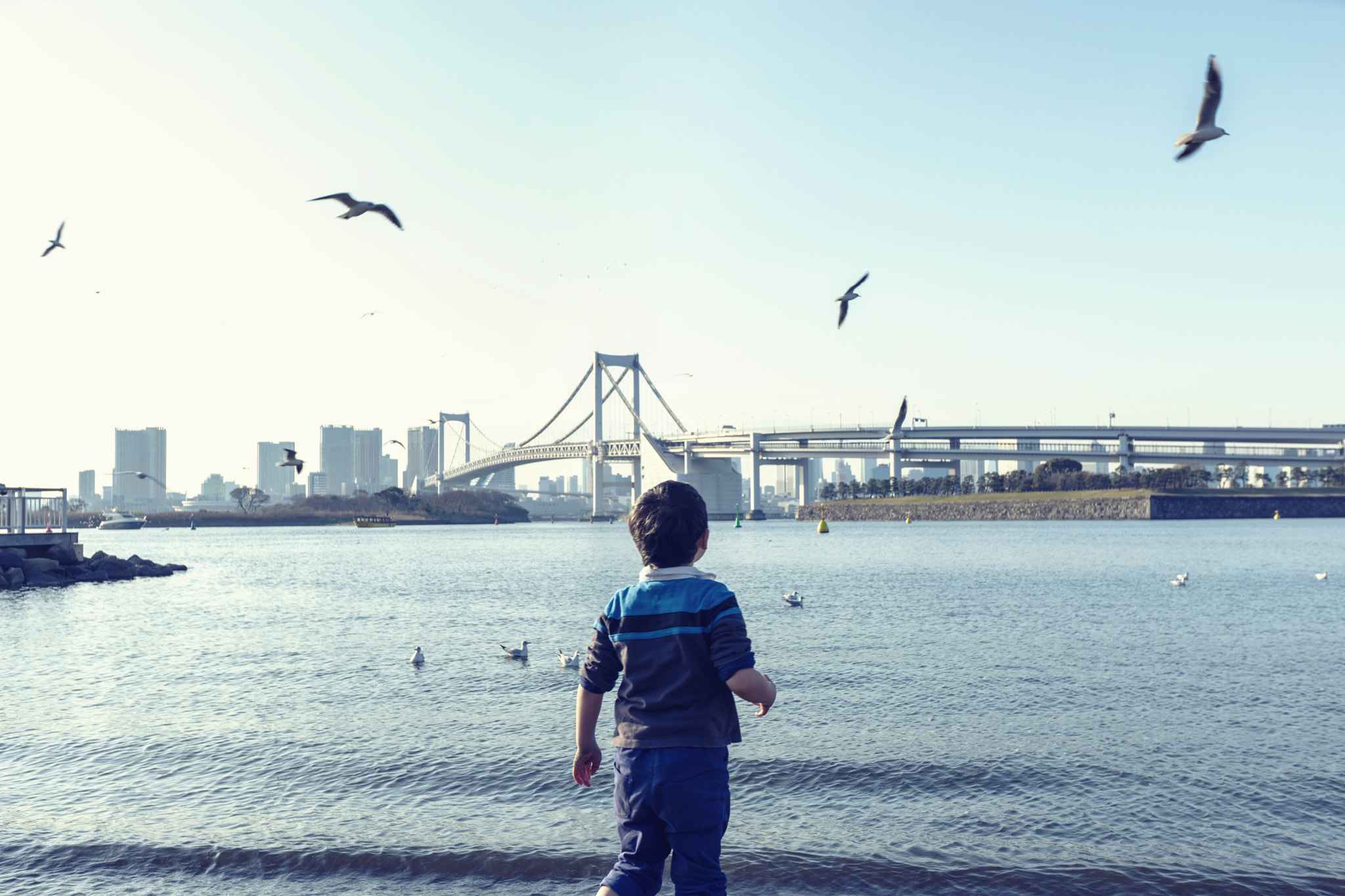 Sony Vario-Sonnar T* 16-35mm F2.8 ZA SSM II sample photo