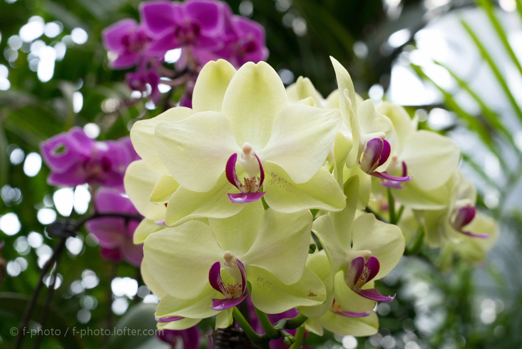E 50mm F2 sample photo