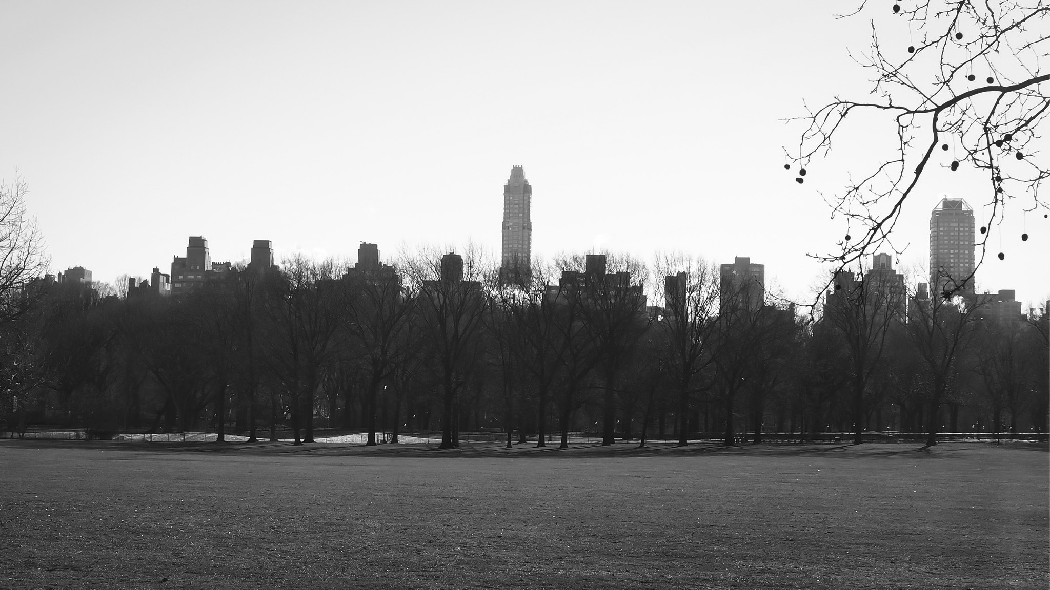 Olympus PEN E-PL6 + Sigma 30mm F2.8 DN Art sample photo. Central park photography