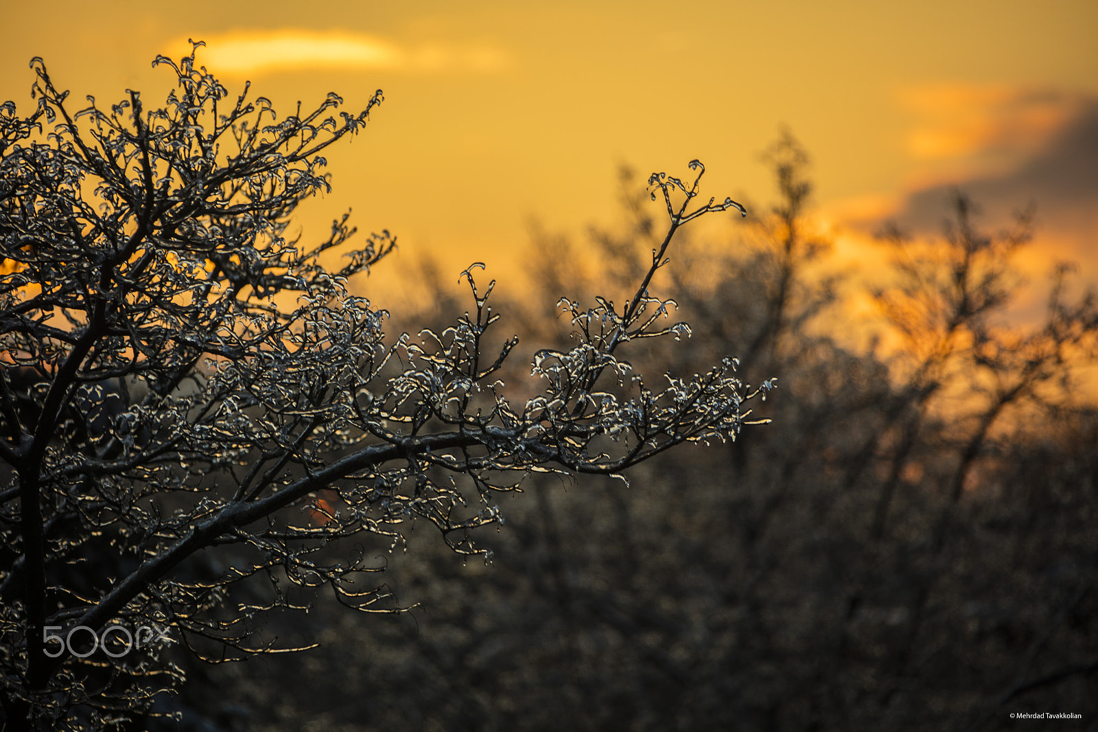 Canon EF 28-300mm F3.5-5.6L IS USM sample photo. Greenbelt crescent photography