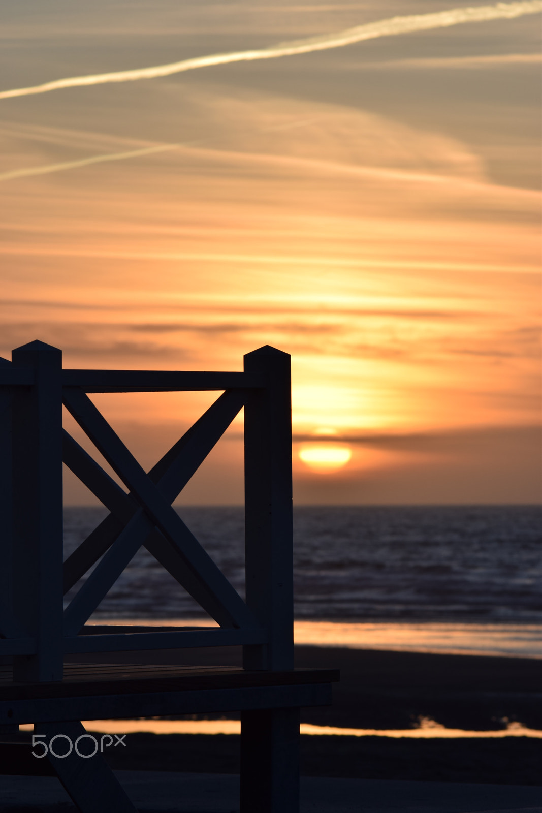 Sigma 150-500mm F5-6.3 DG OS HSM sample photo. Home by the sea photography