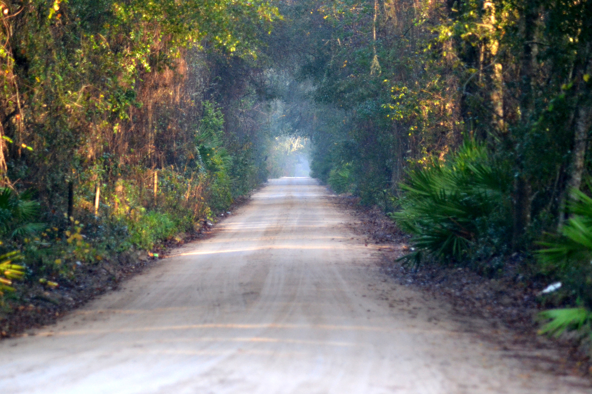 AF Zoom-Nikkor 70-300mm f/4-5.6D ED sample photo. Dirt road photography
