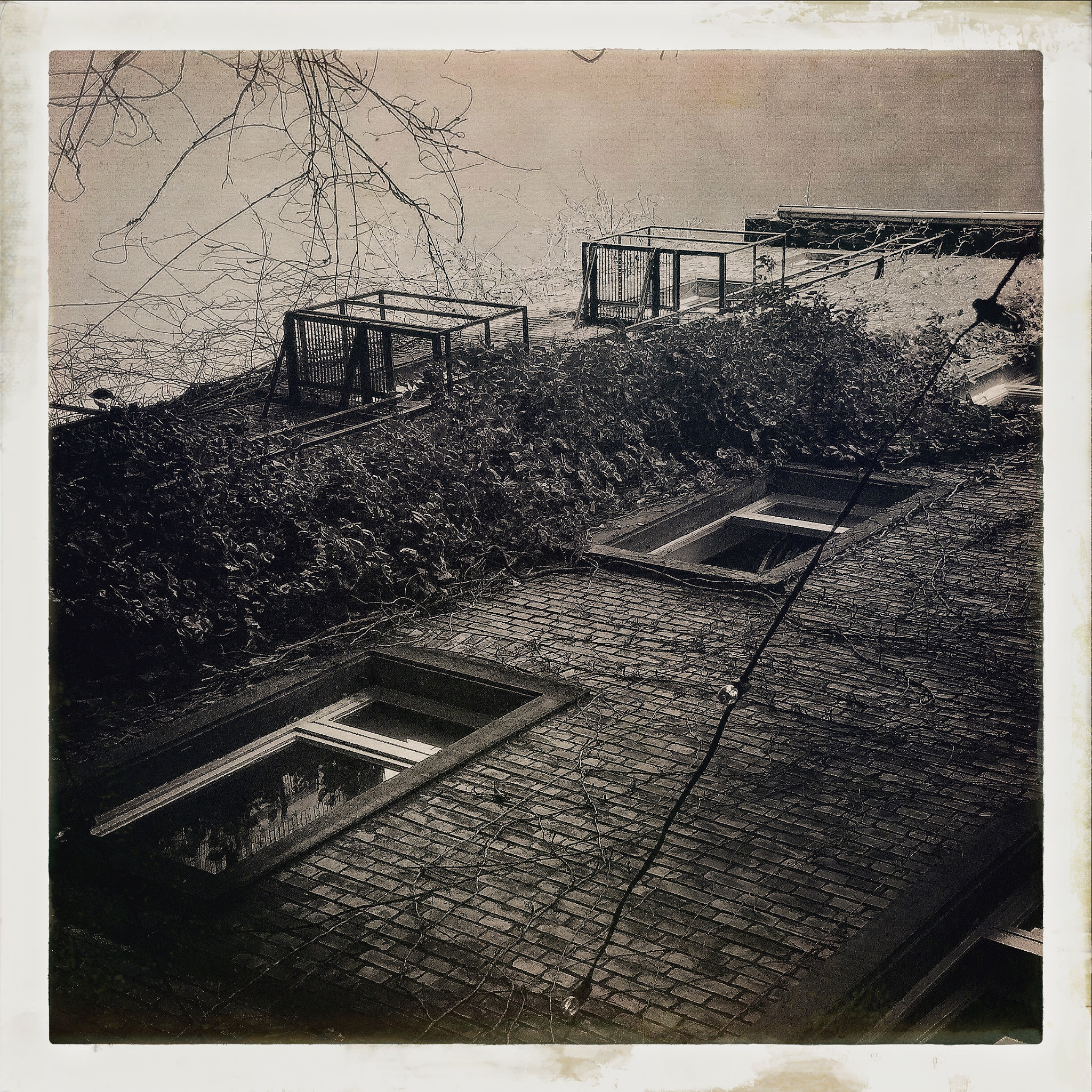 Hipstamatic 312 sample photo. 170 photography