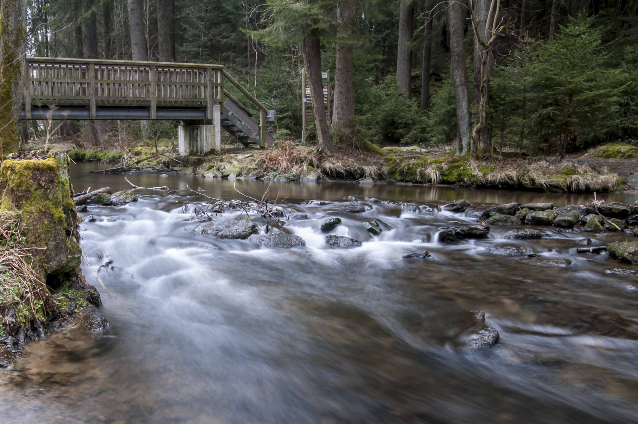 Nikon D300S + Sigma 18-50mm F2.8 EX DC Macro sample photo. Bavarian spring on the lake! photography