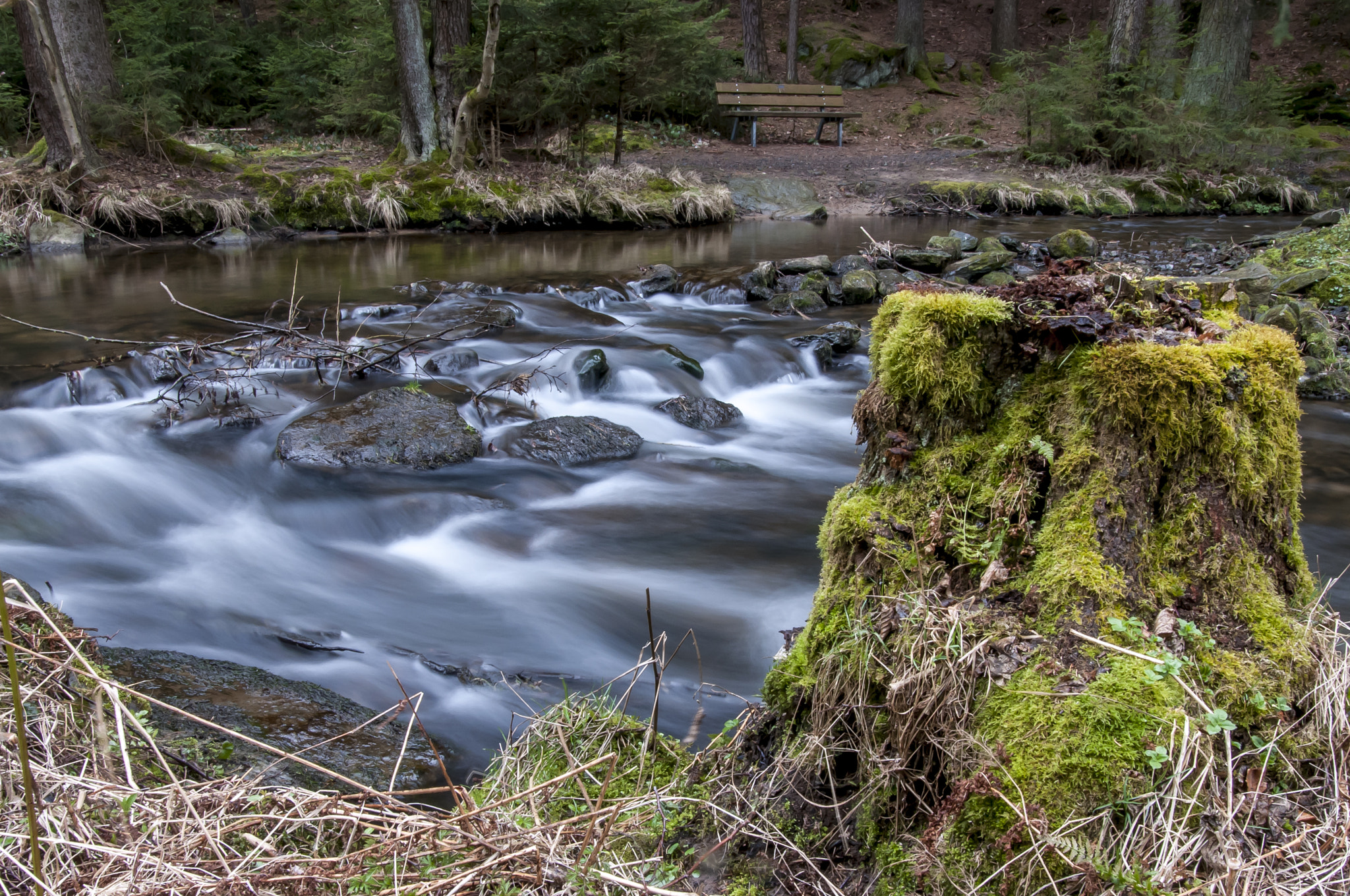 Nikon D300S + Sigma 18-50mm F2.8 EX DC Macro sample photo. Bavarian spring on the lake! photography