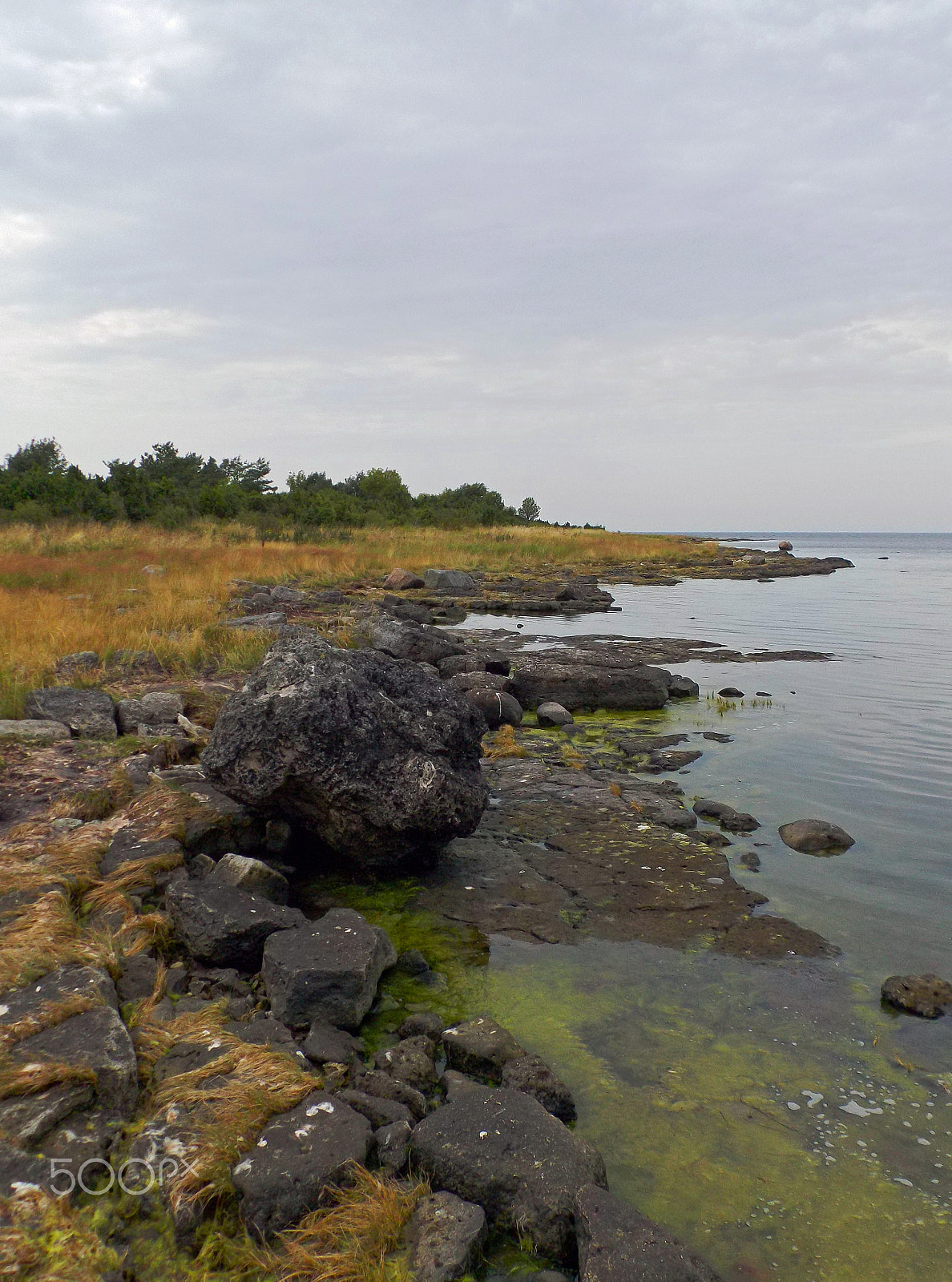 Pentax Optio VS20 sample photo. Beach landscapes vol.2 photography